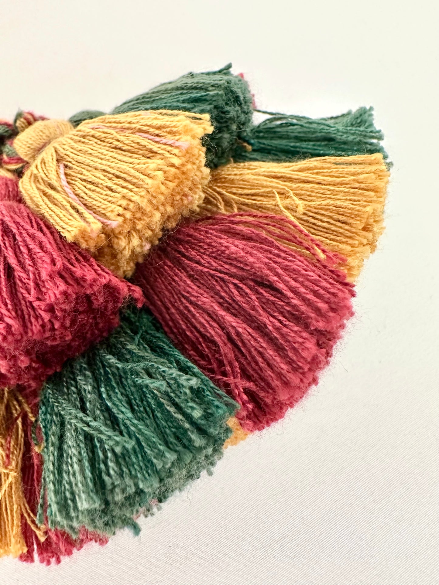 Céline Tassel