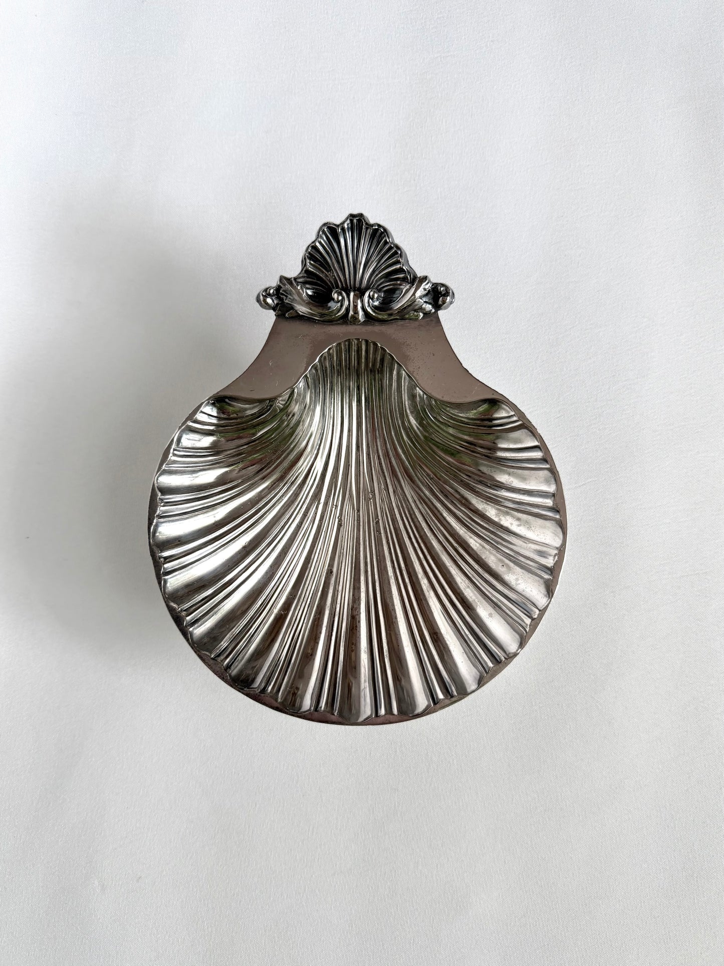 Signature Shell 02