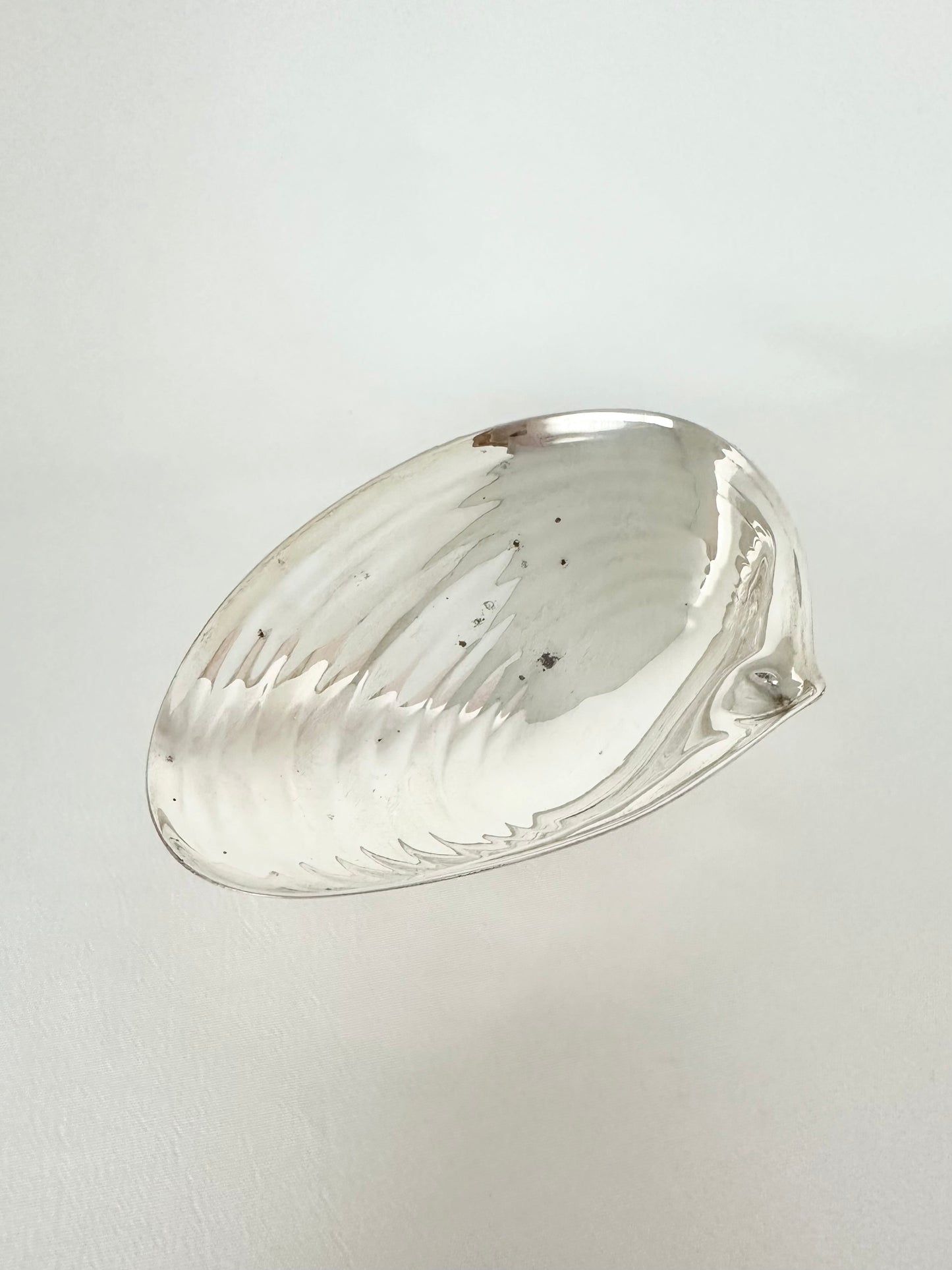 Cove Shell Trinket Dish