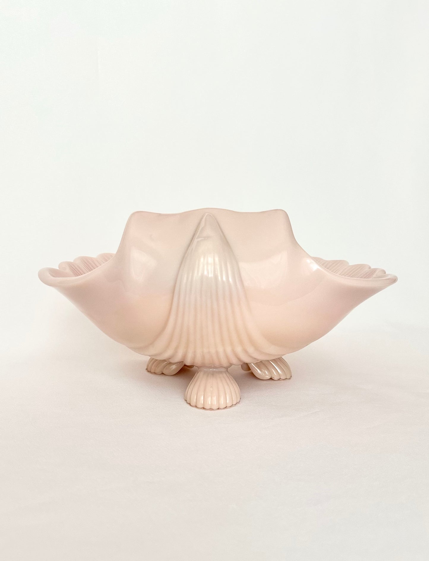 Coralia Shell Bowl