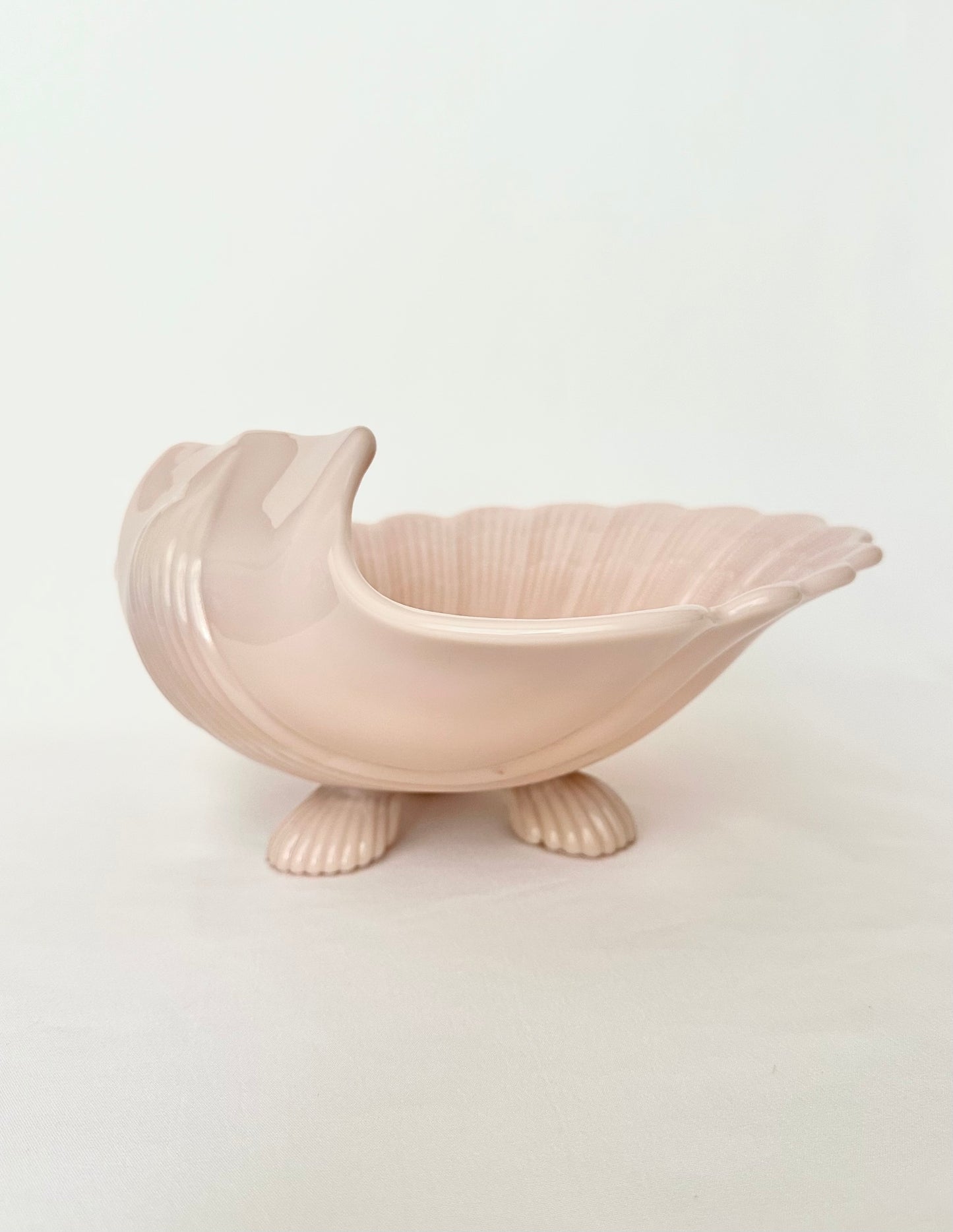 Coralia Shell Bowl