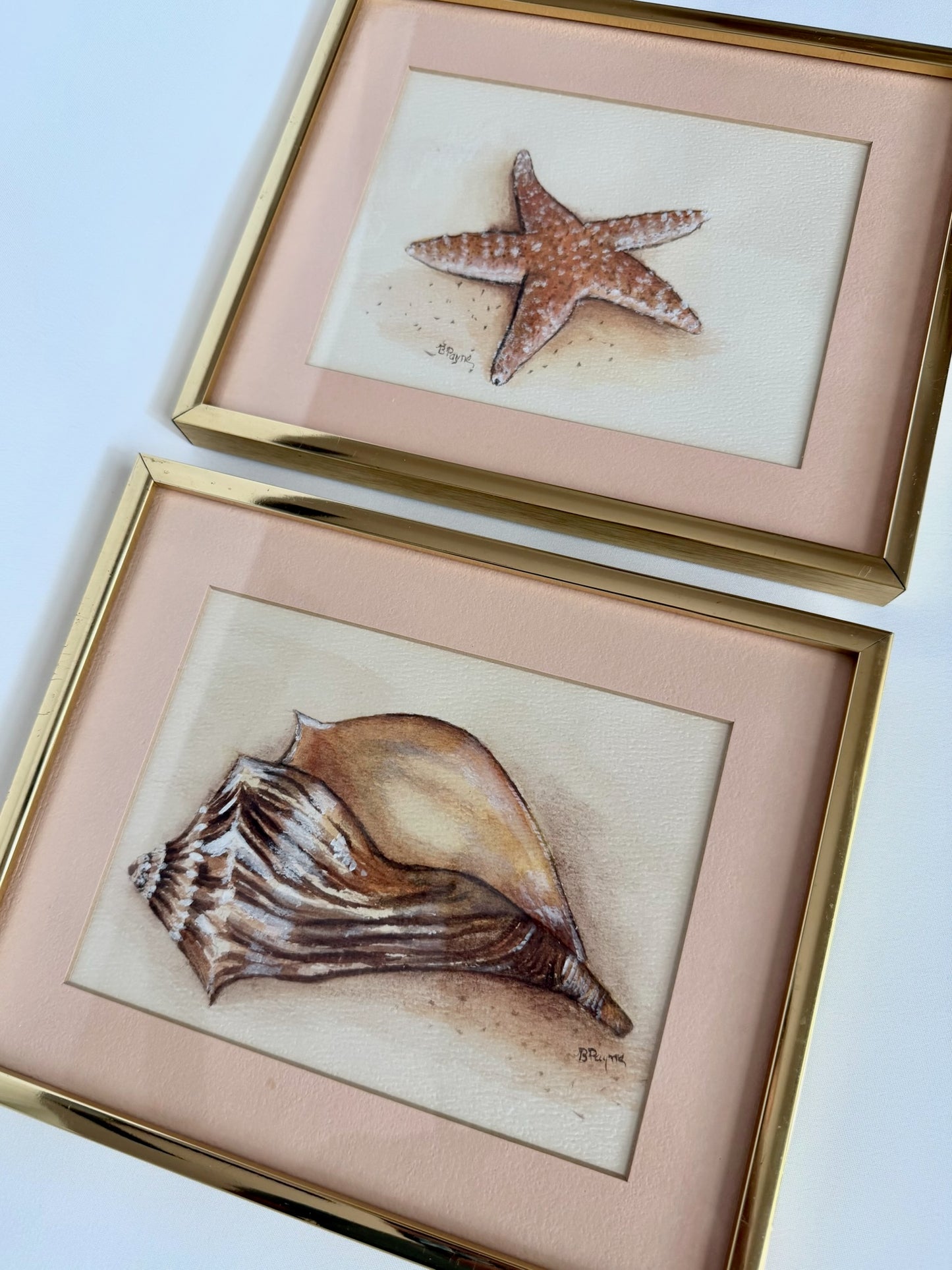 Juno Original Watercolor Pair