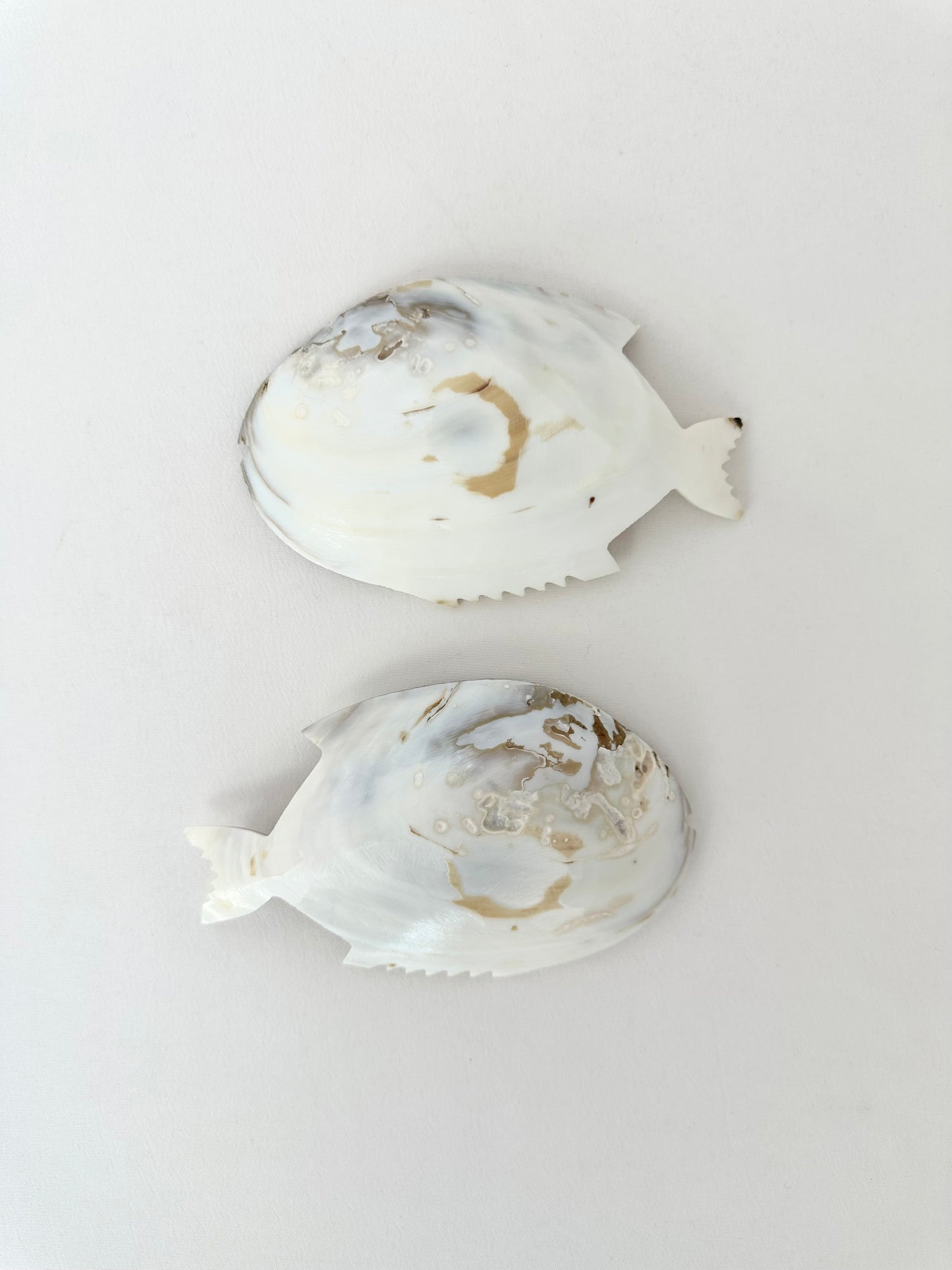 Sanibel Trinket Dish Pair