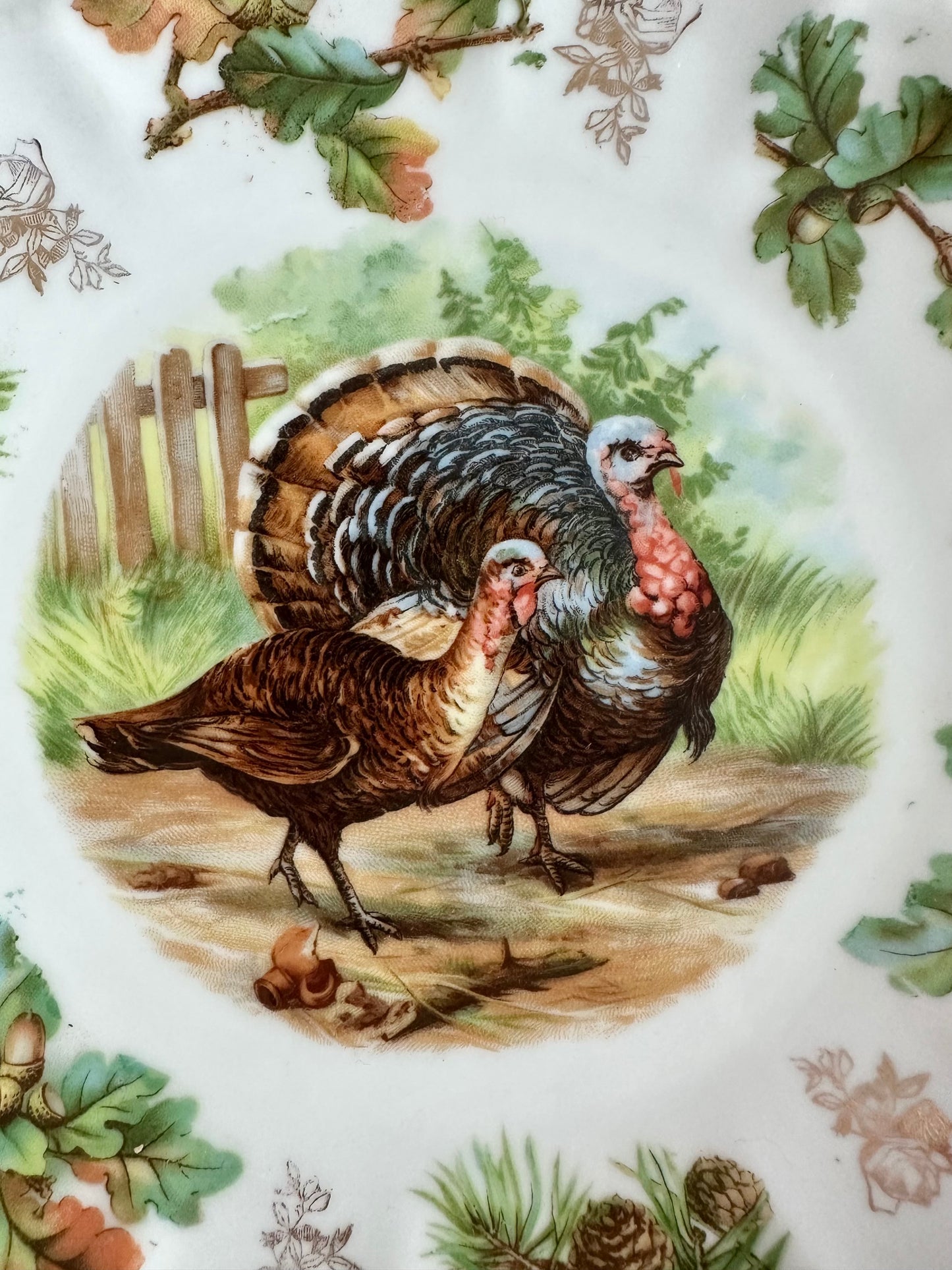 Tucker Turkey China Plate