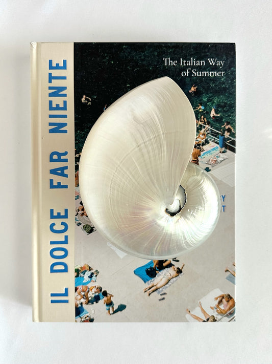 Natural pearly nautilus shell decorative object