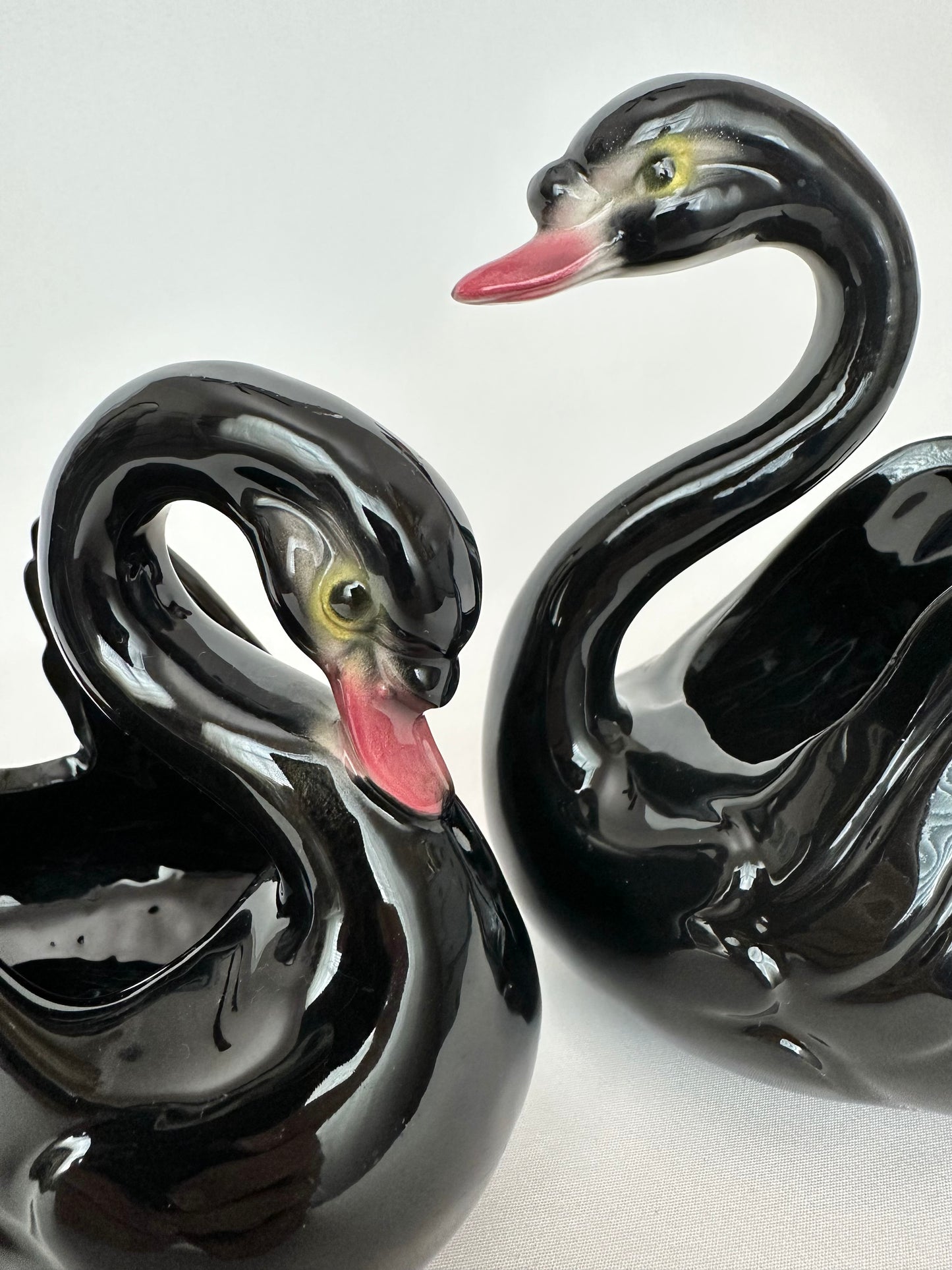 Raven Swan Pair