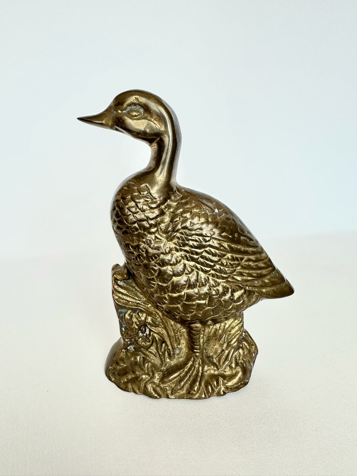 Irving Brass Duck