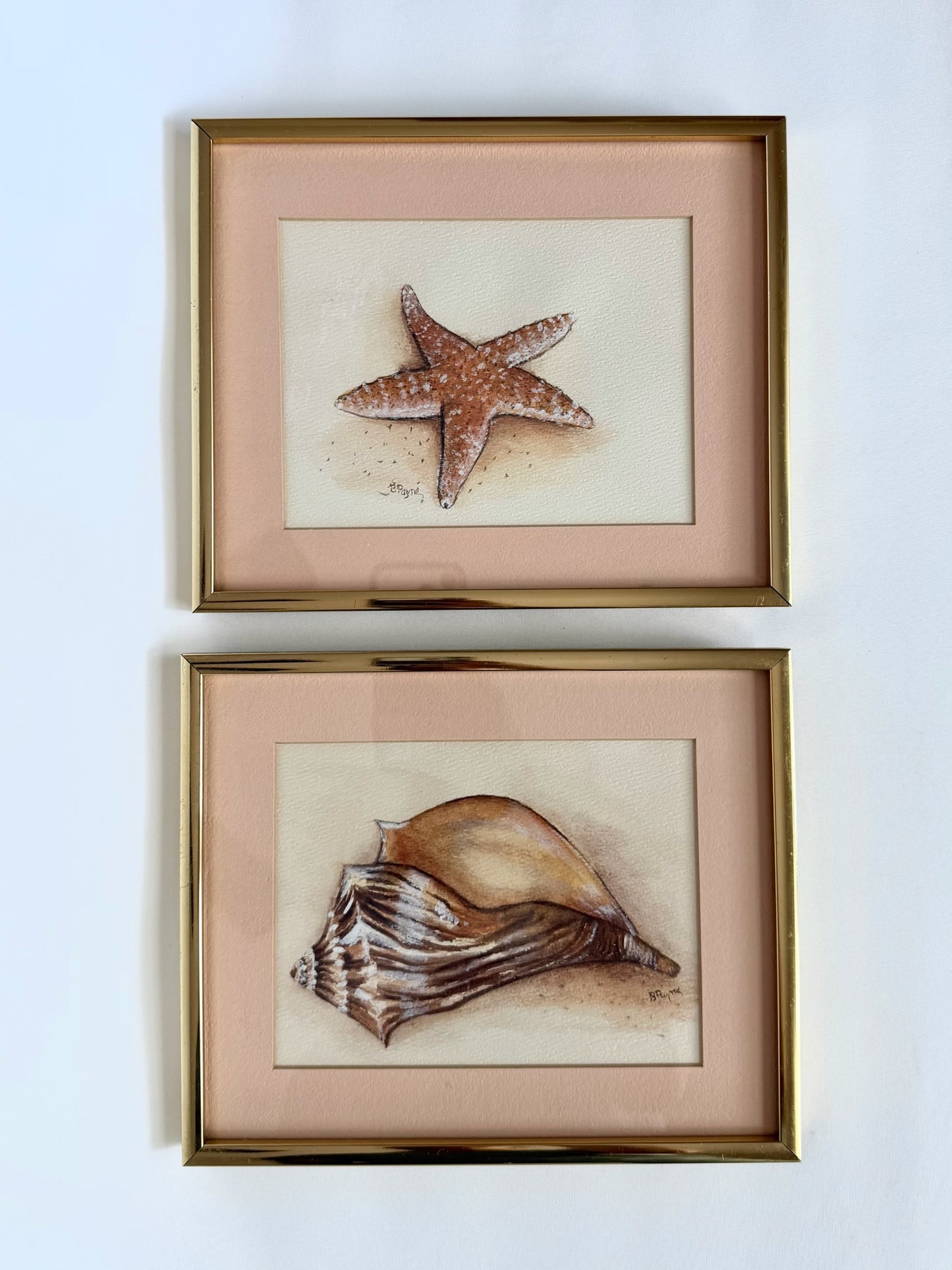 pair of two vintage signed watercolors of seashells in gold metal frames