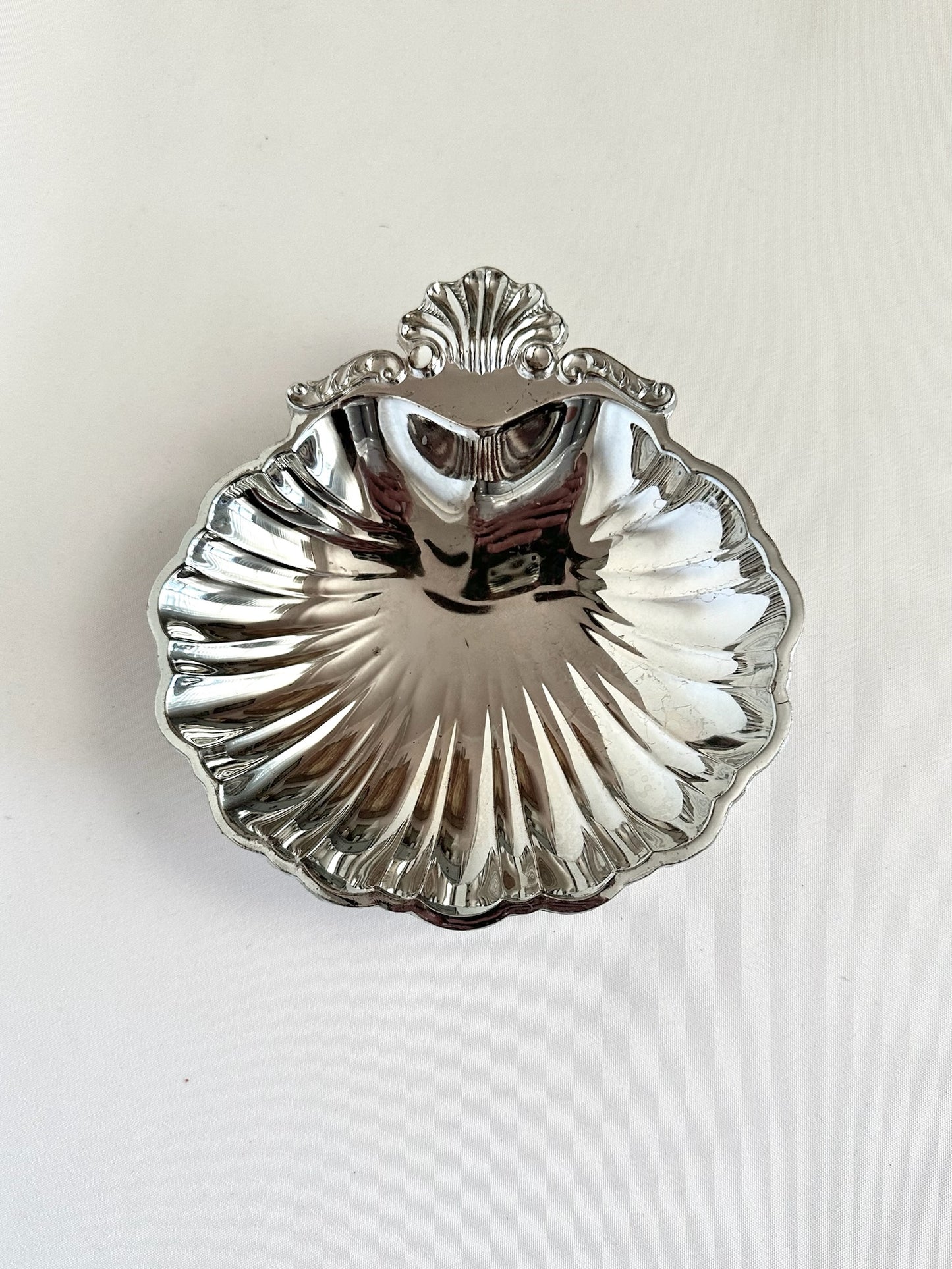 Signature Shell 08