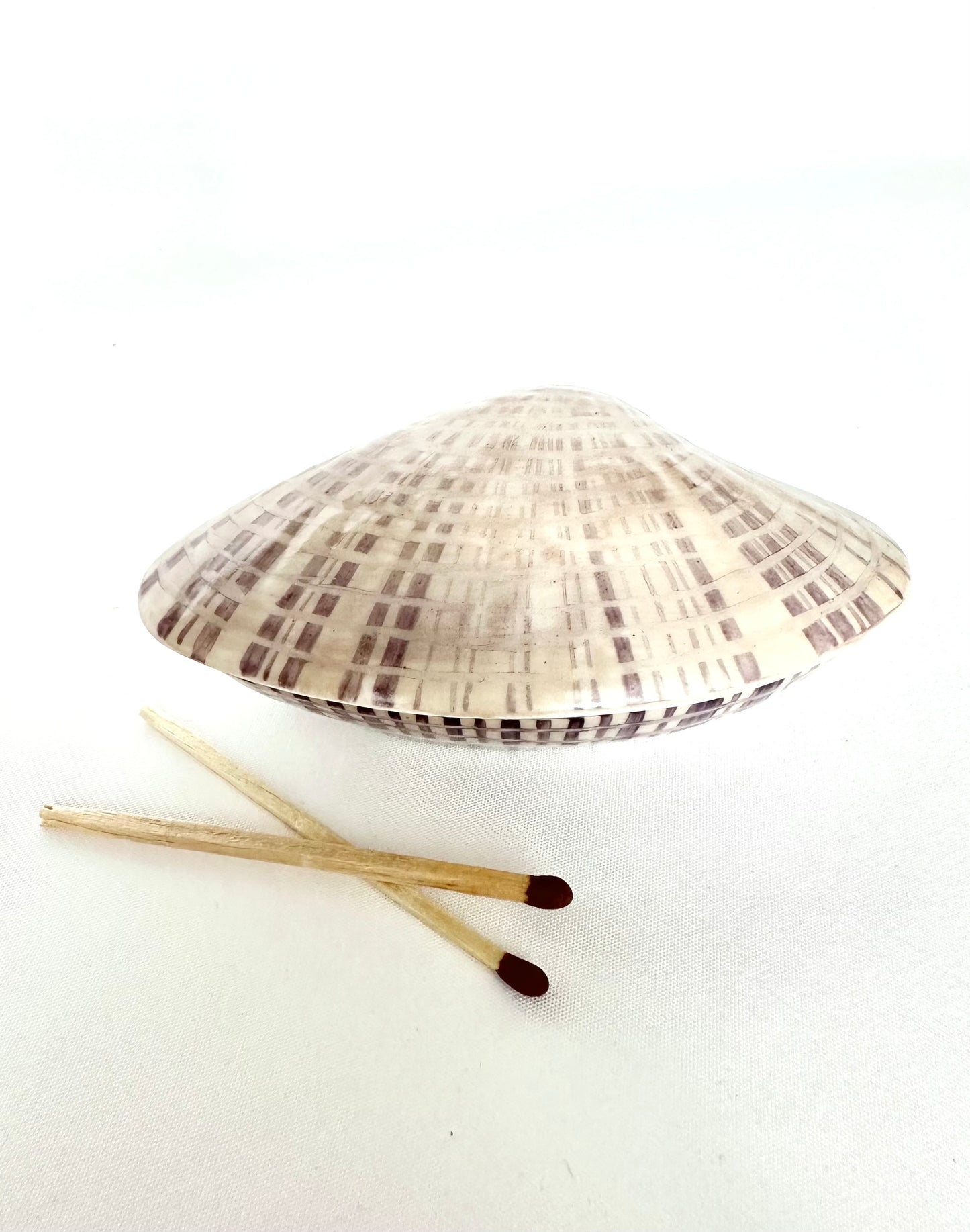 Venus Shell Matchstick Vessel