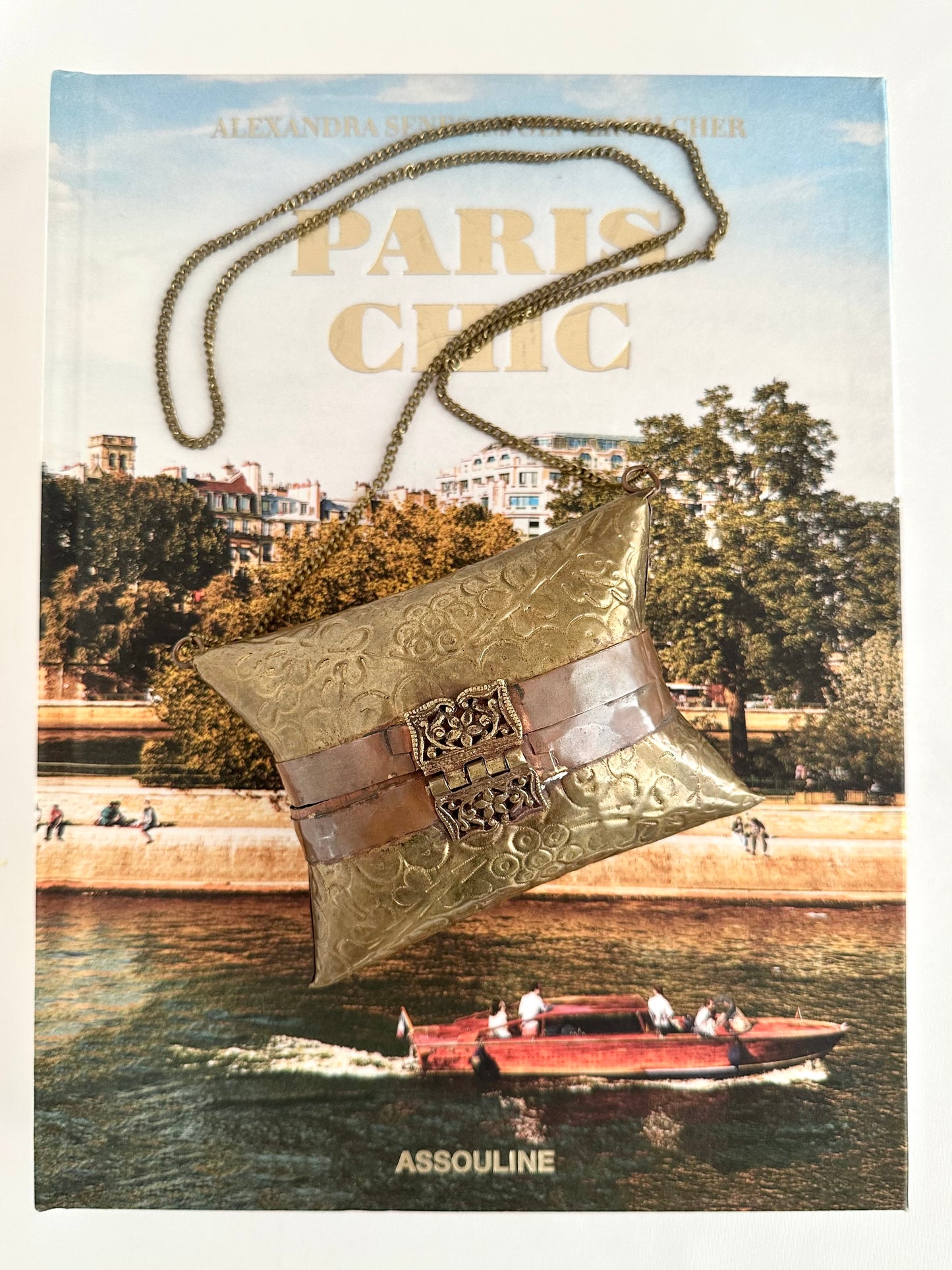 Stevie Brass Pillow Purse