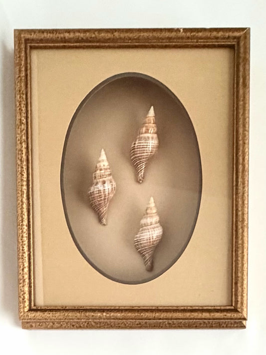Boca Shadow Box