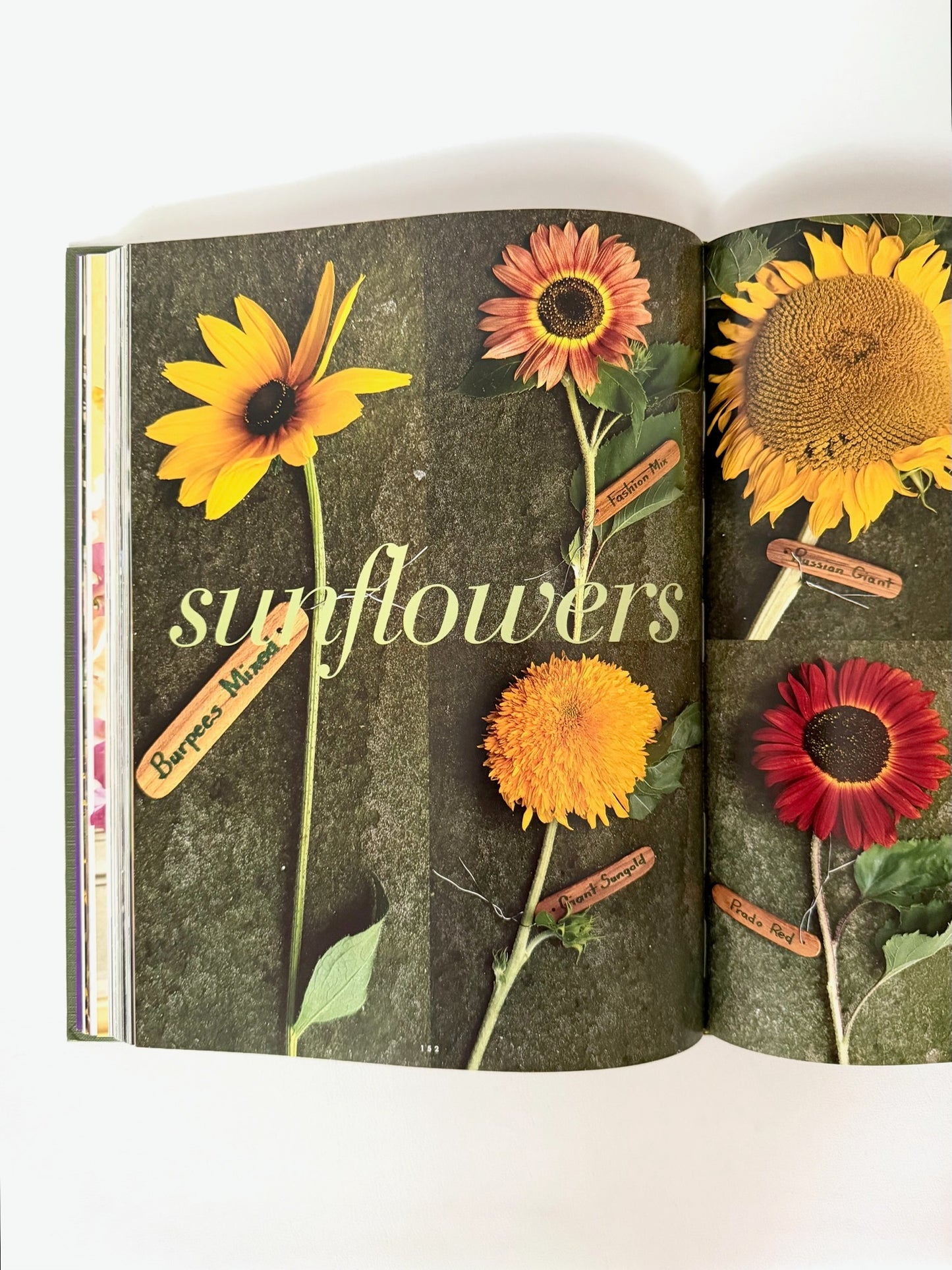 A Passion for Flowers Book
