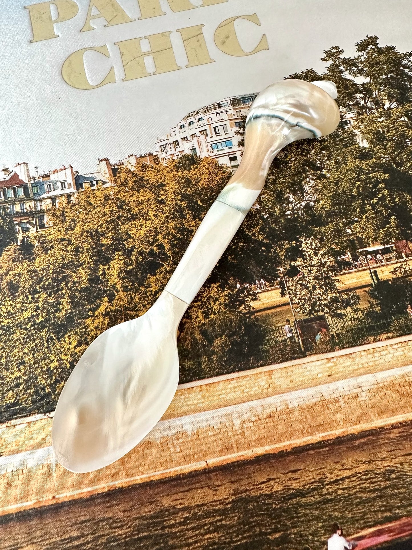 Indie Mother of Pearl Caviar Spoon
