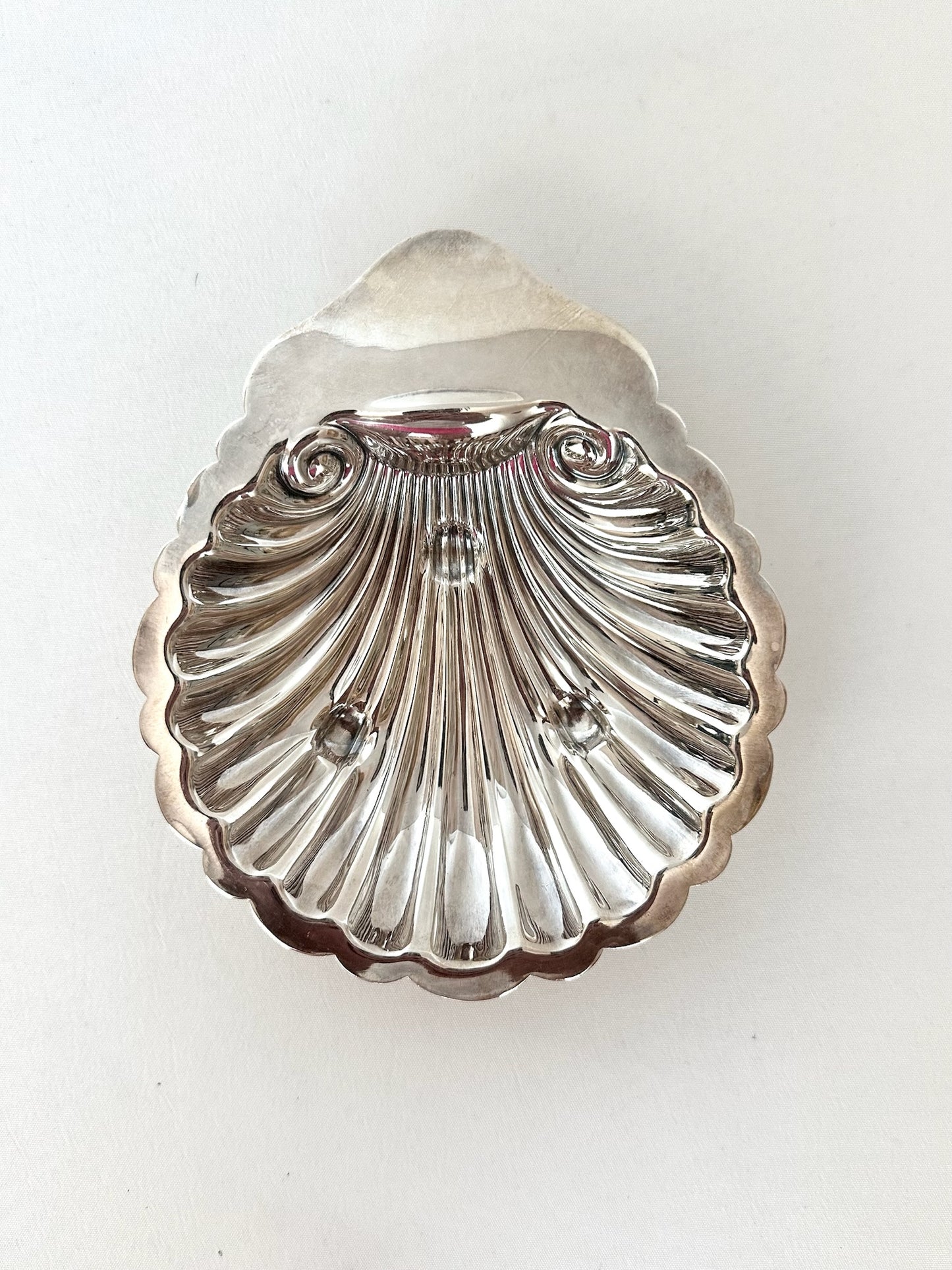 Signature Shell 10