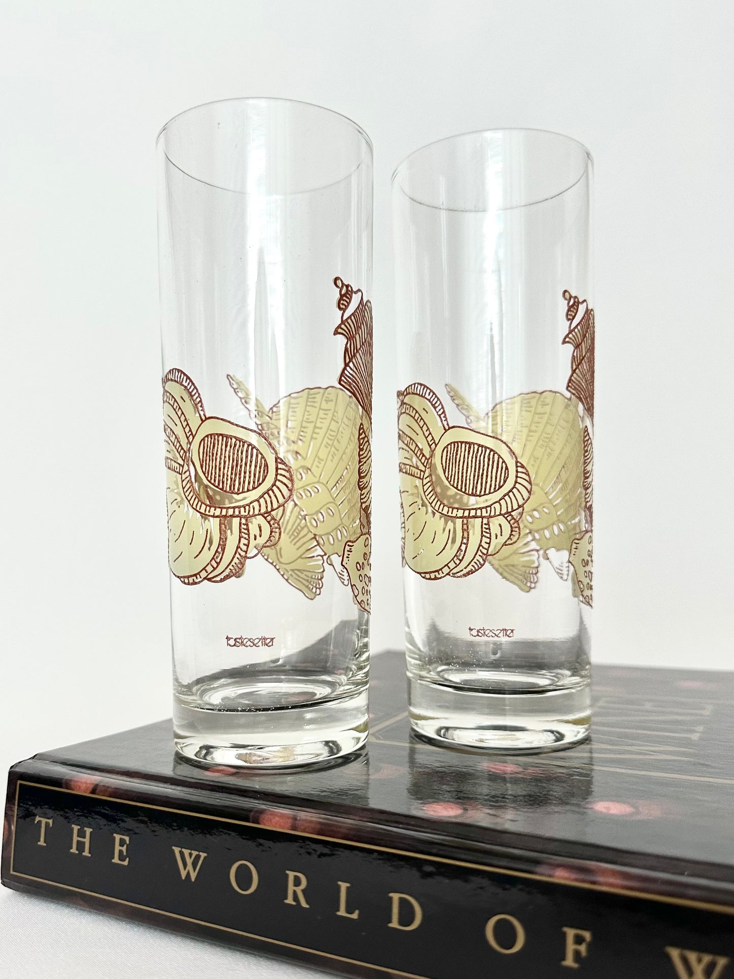 Darya Highball Glasses