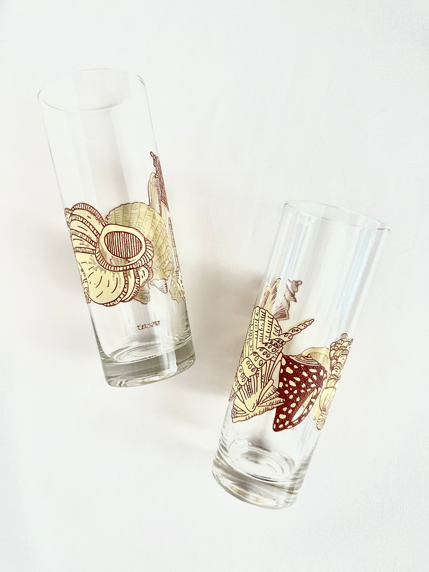 Darya Highball Glasses