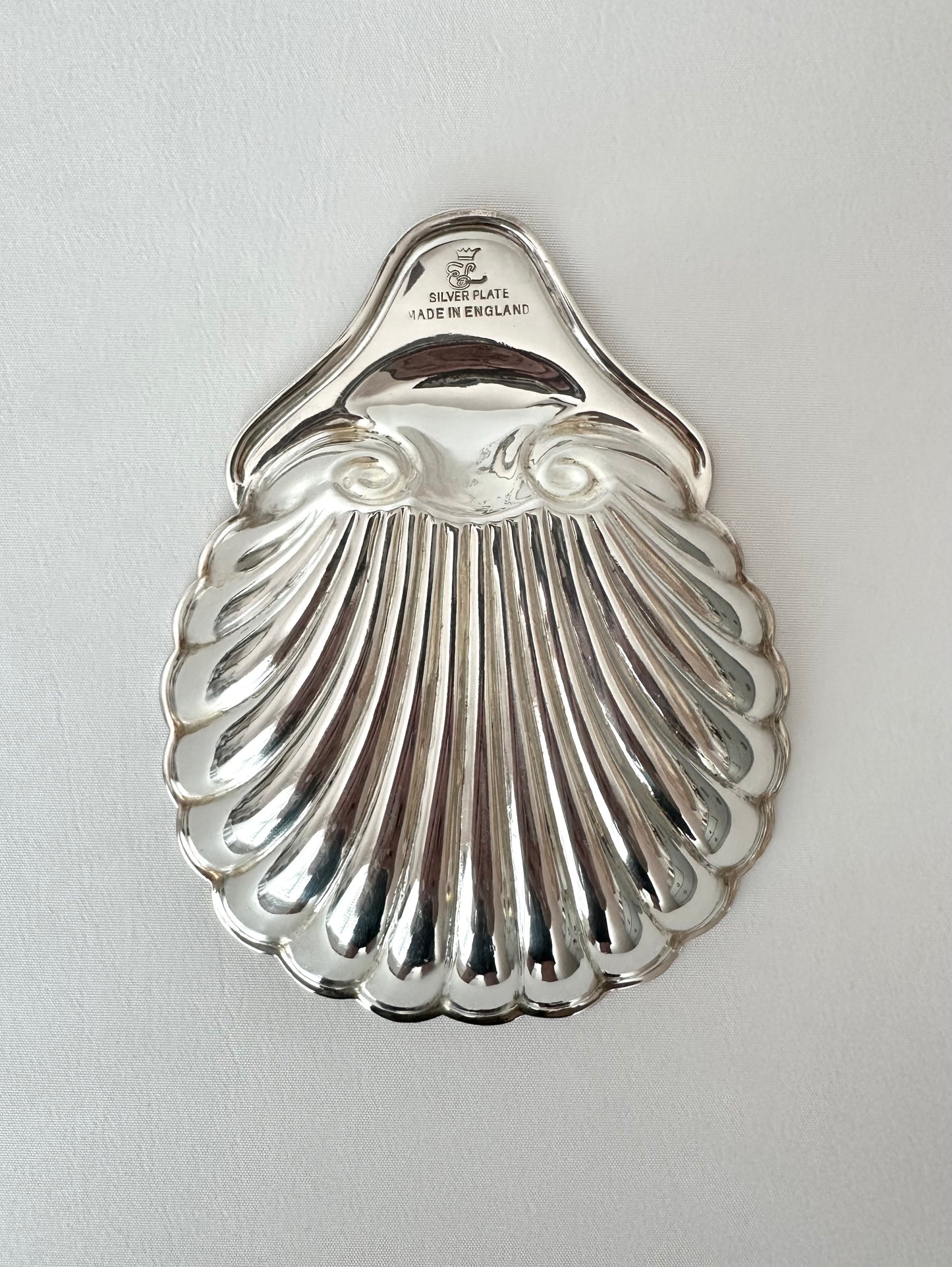 Signature Shell 03