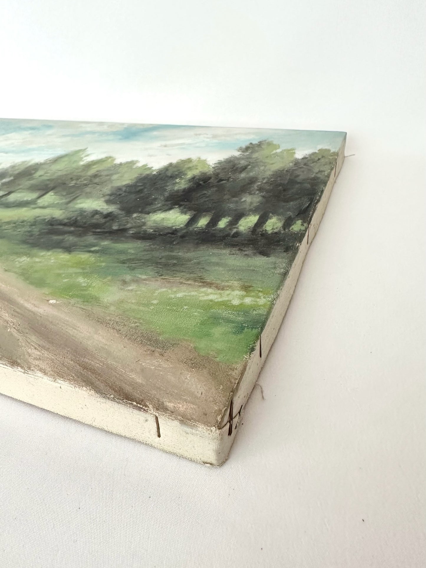 Meadow Original Acrylic Painting