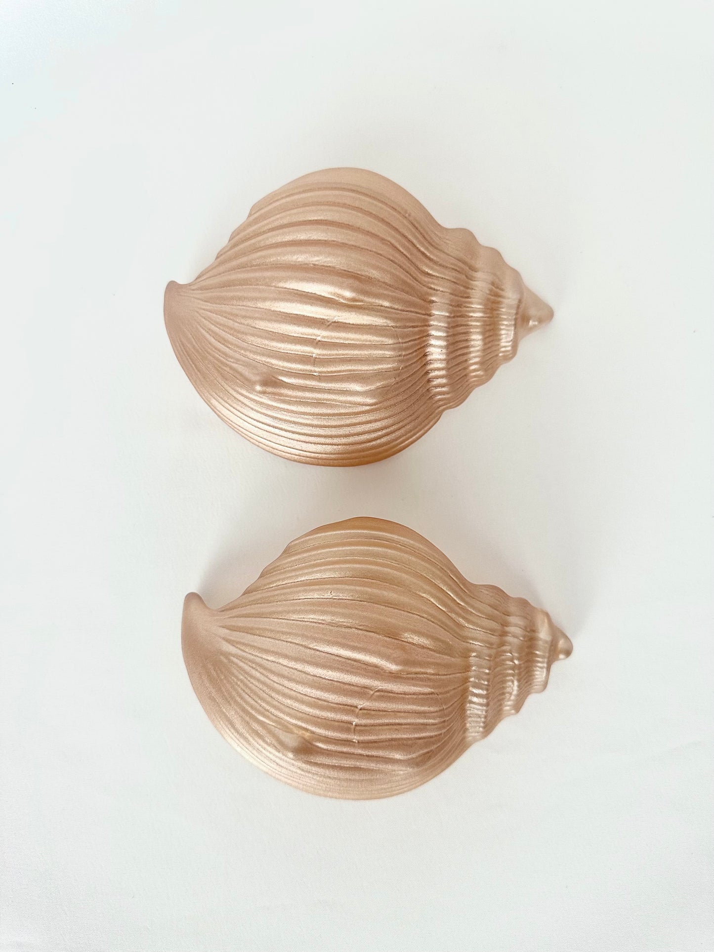 Pearl Conch Shell Dishes