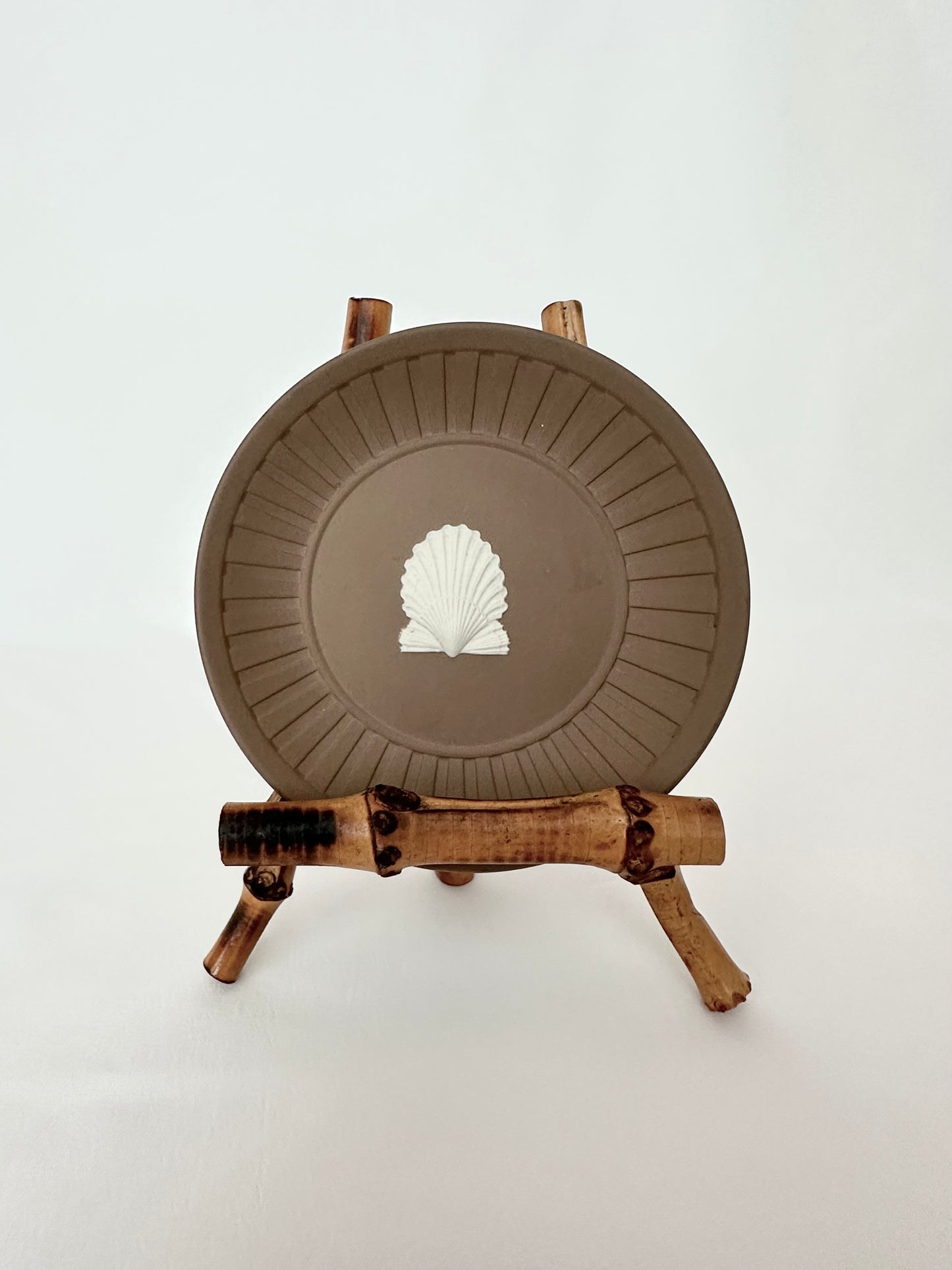 Paola Shell Trinket Dish