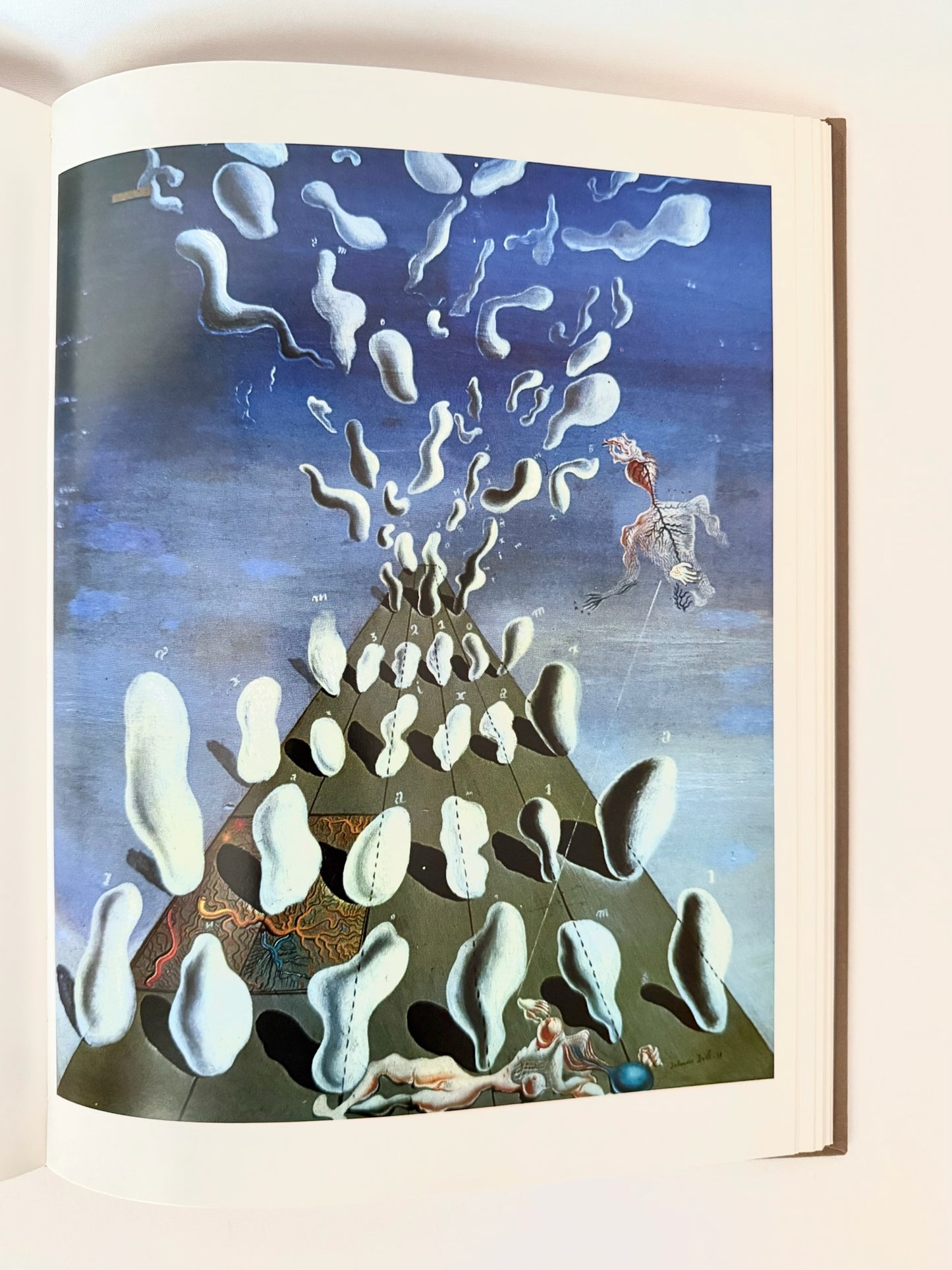 Dali Book
