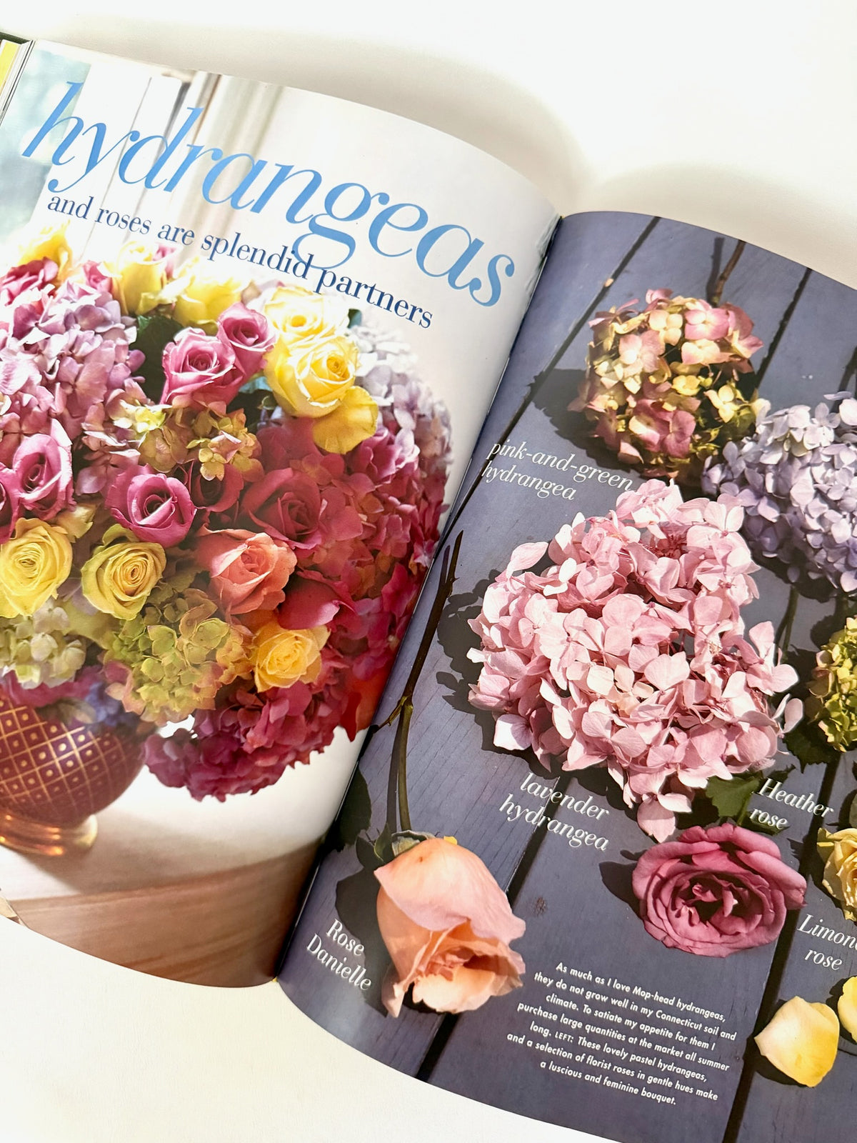 A Passion for Flowers Book