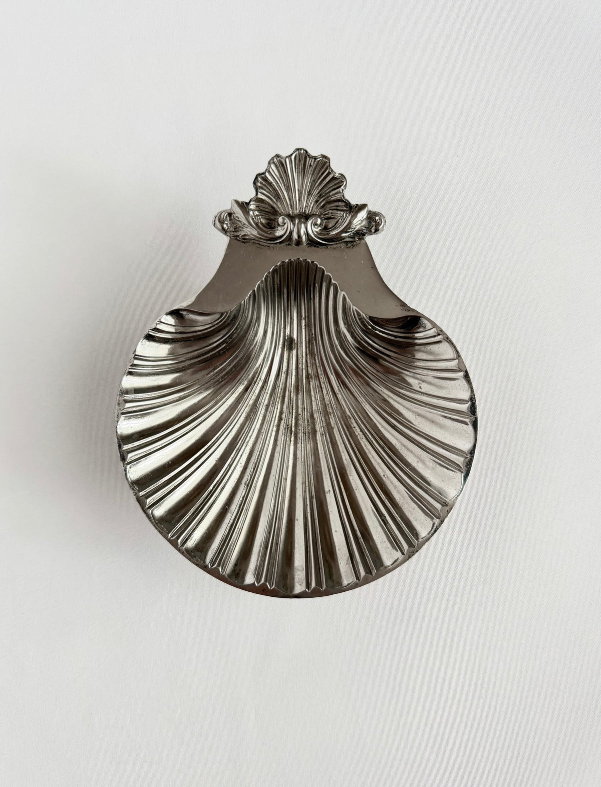 Signature Shell 02