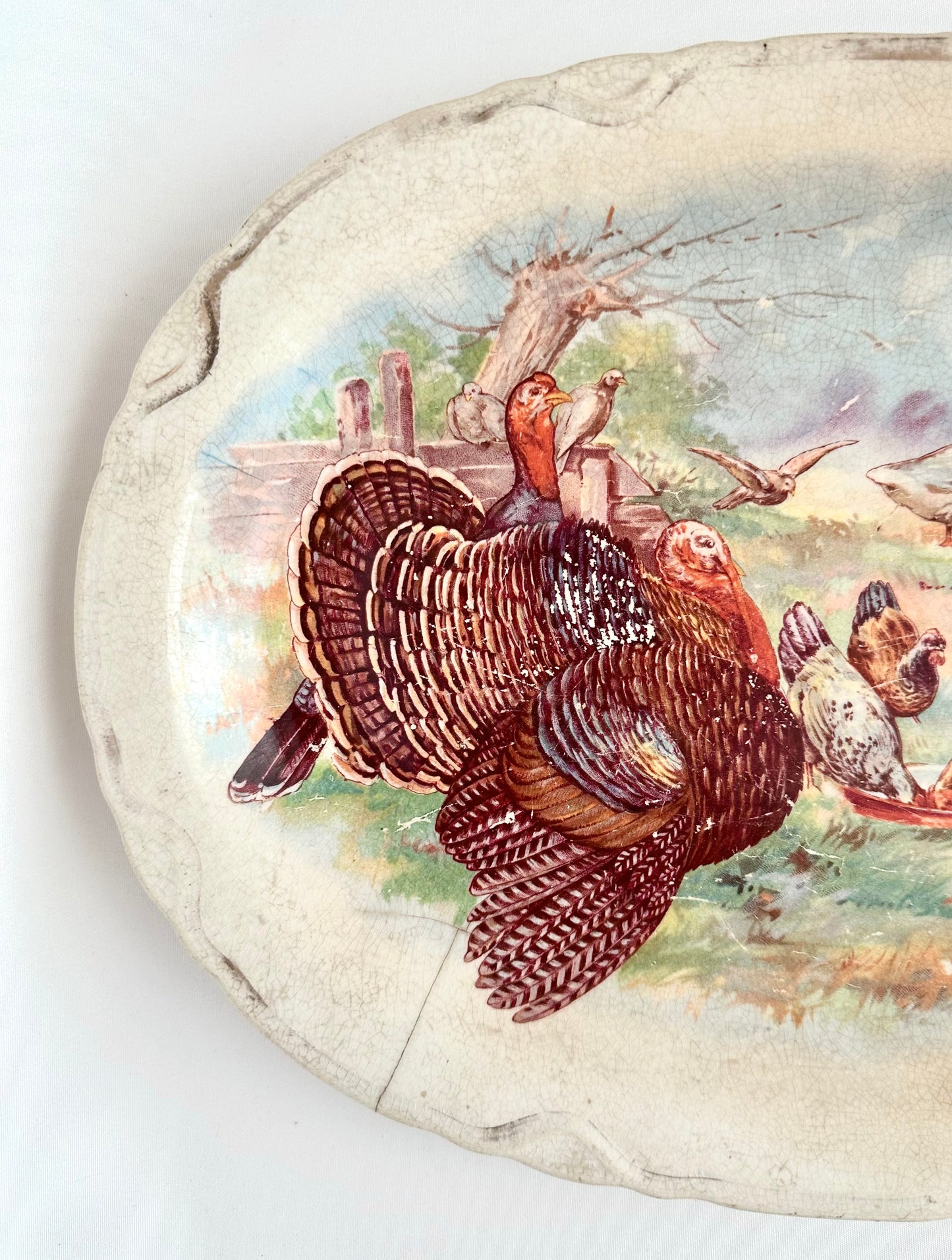 Quincy Turkey Ironstone Platter