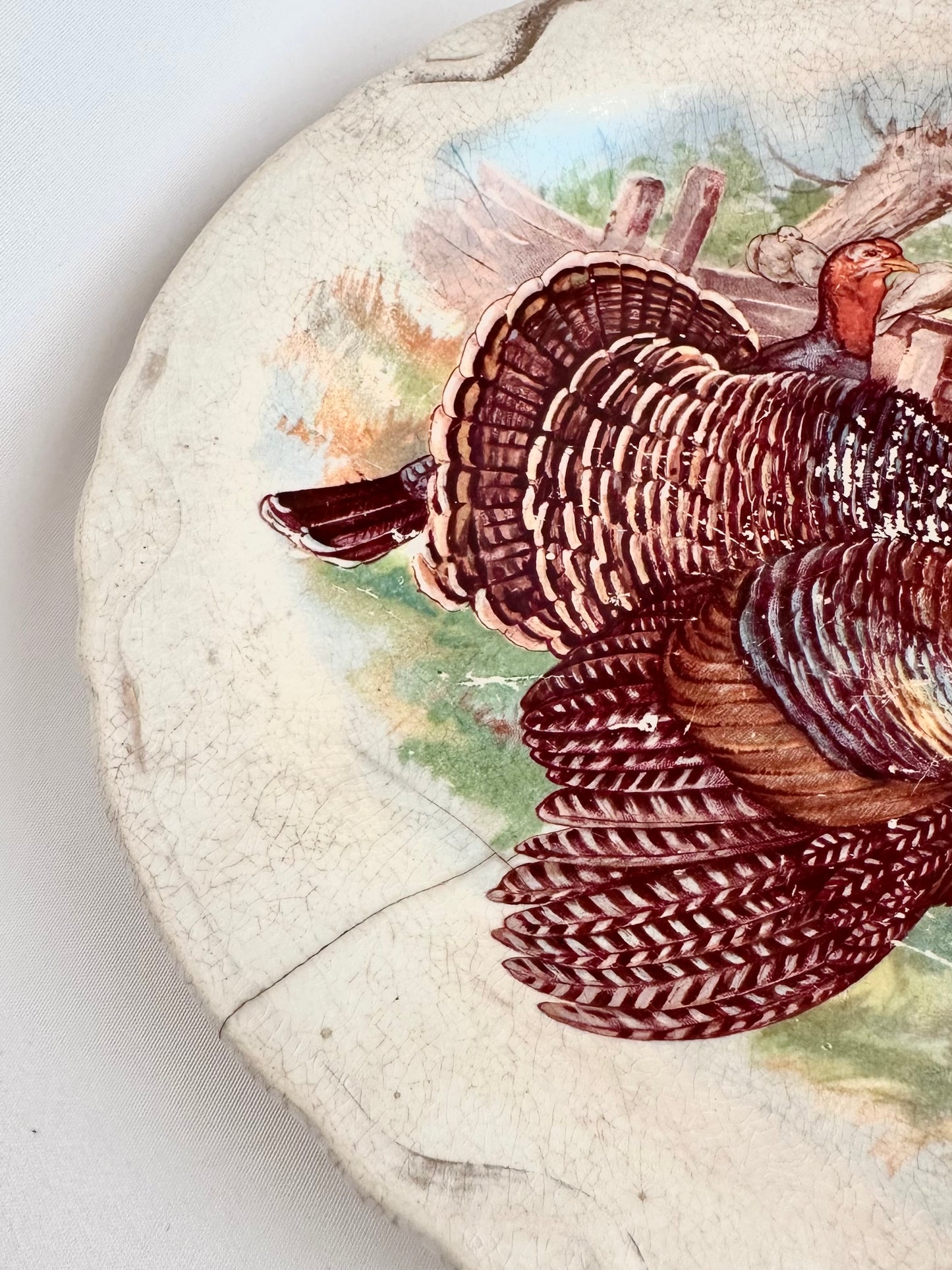 Quincy Turkey Ironstone Platter