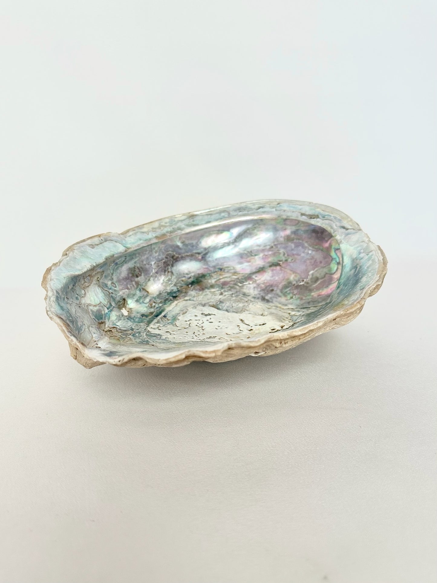 Kenley Abalone Shell