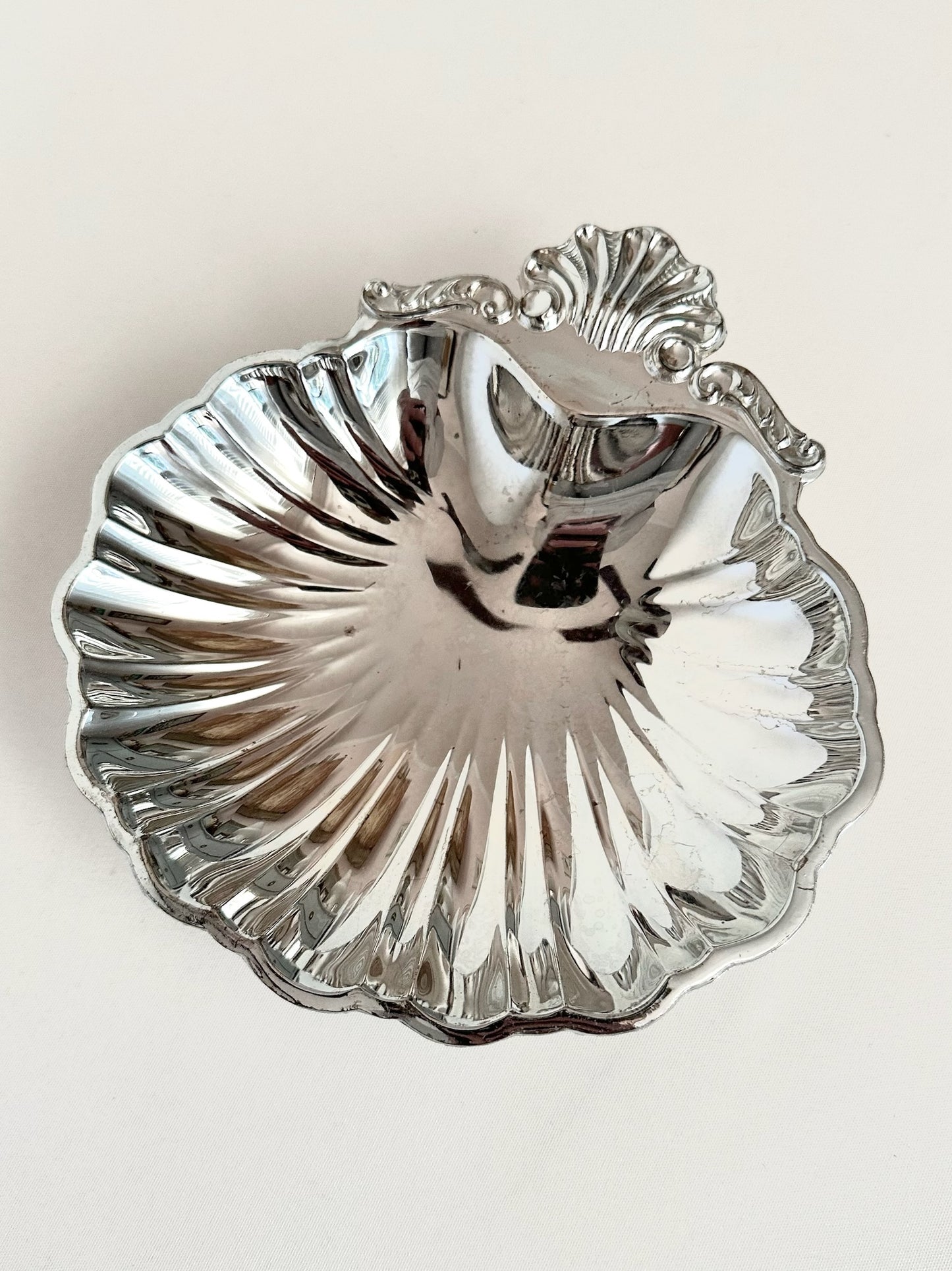 Signature Shell 08