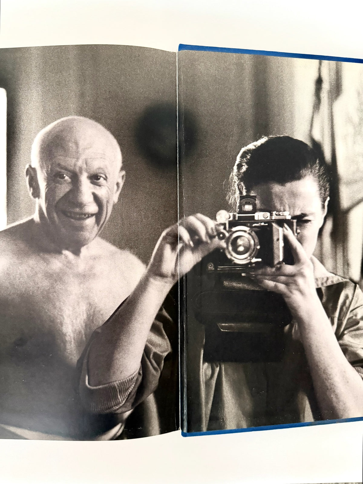 Picasso and Jacqueline Book