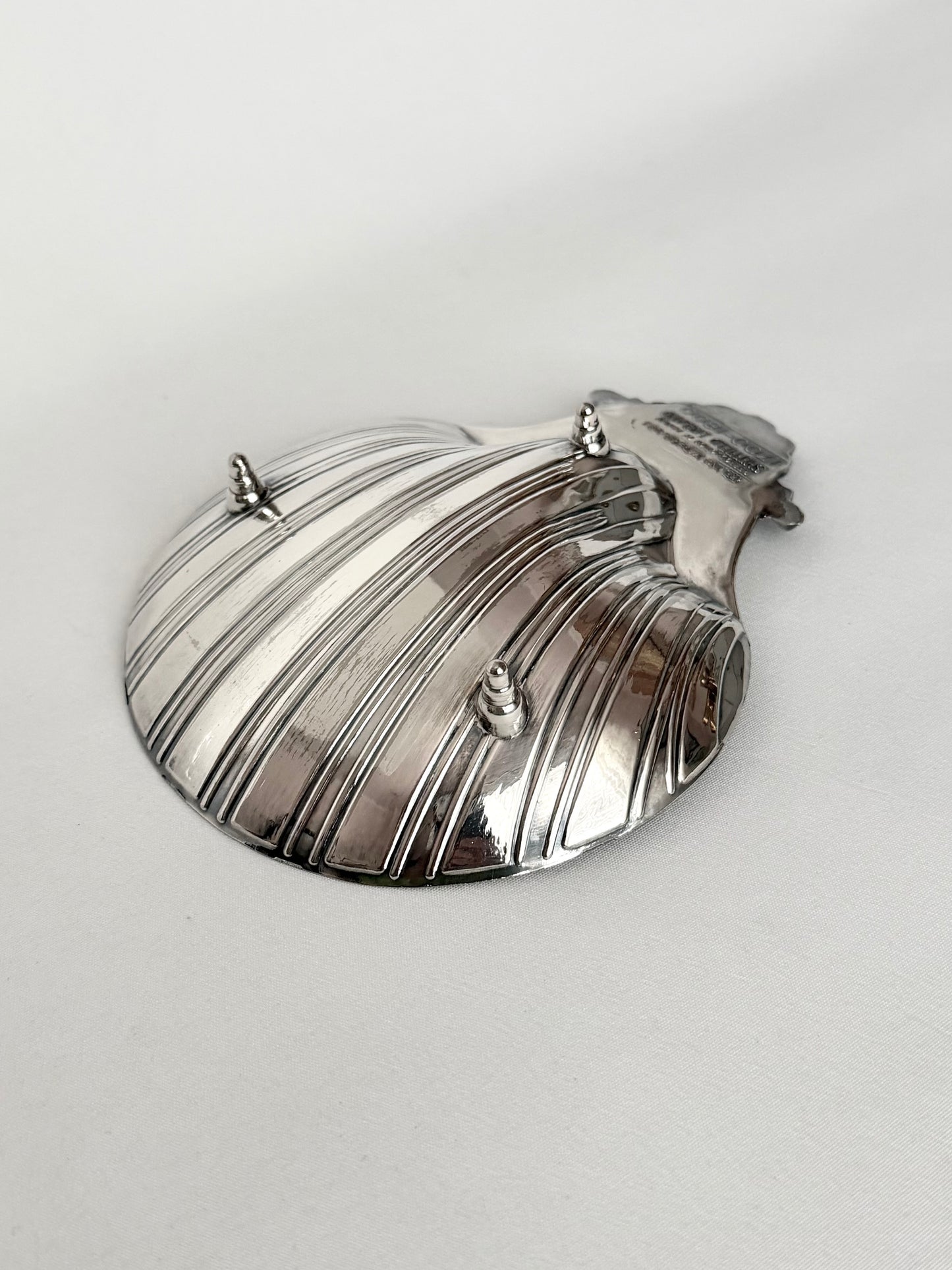 Signature Shell 02