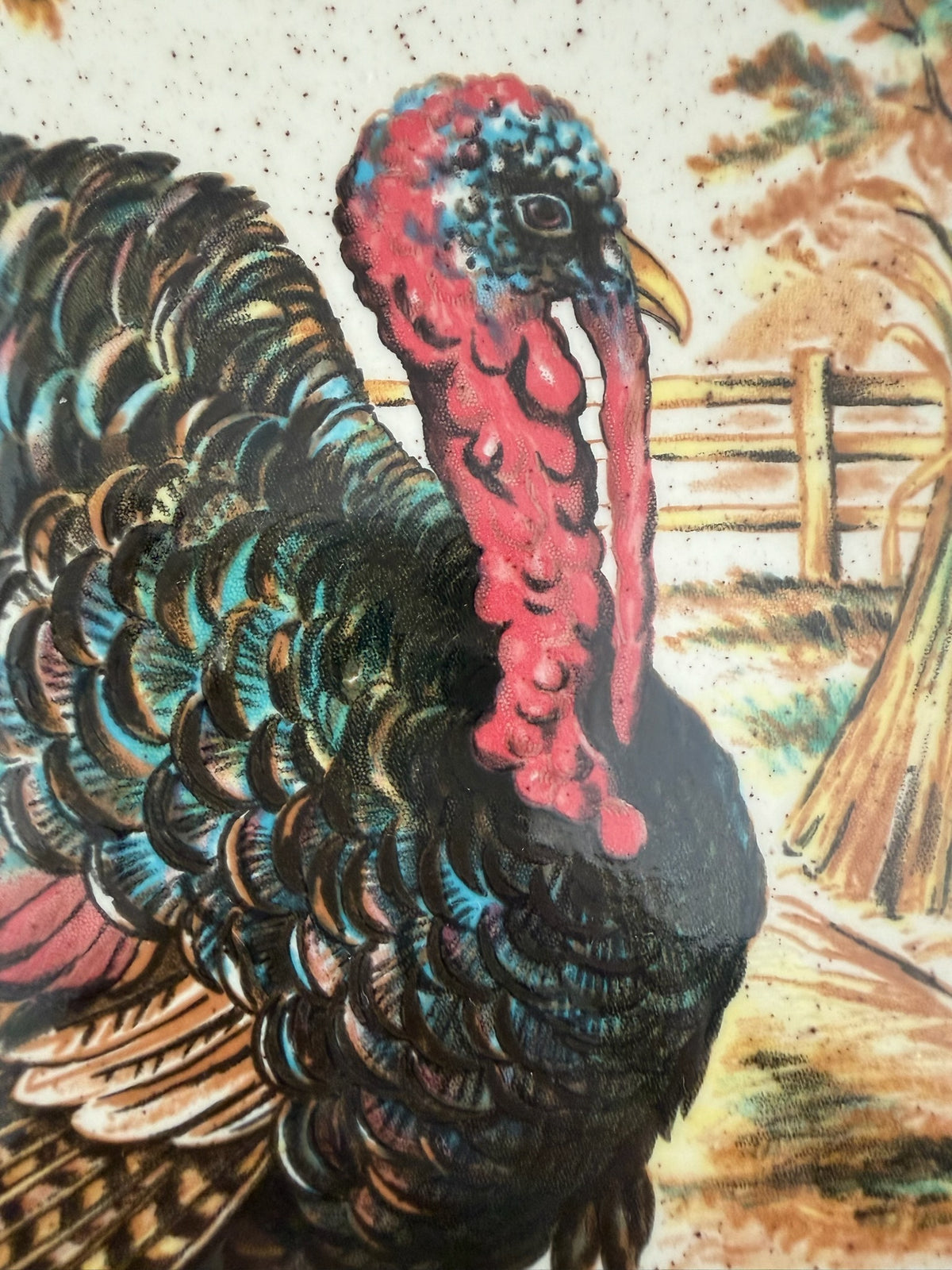 Morrigan Turkey Platter