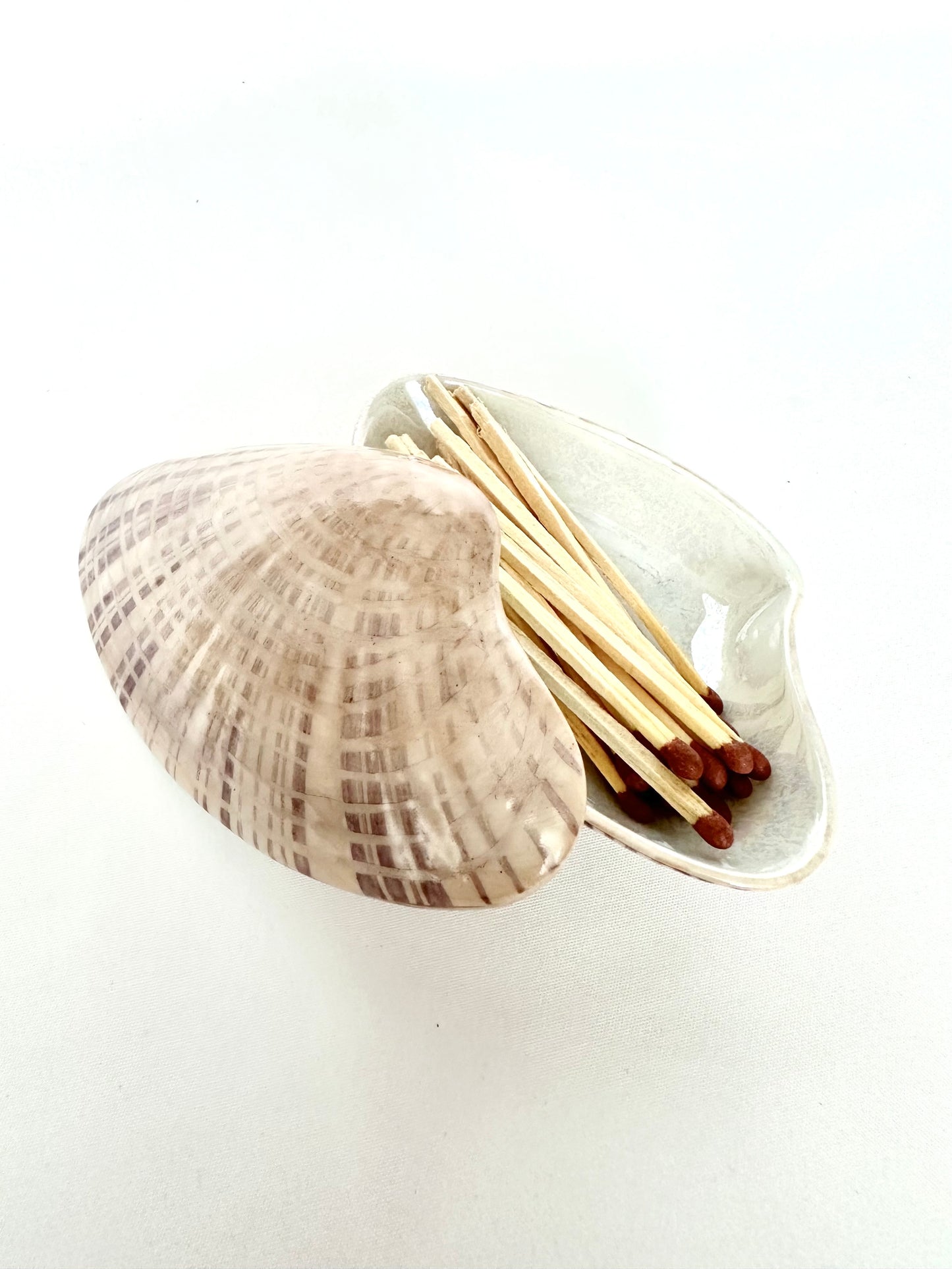 Venus Shell Matchstick Vessel