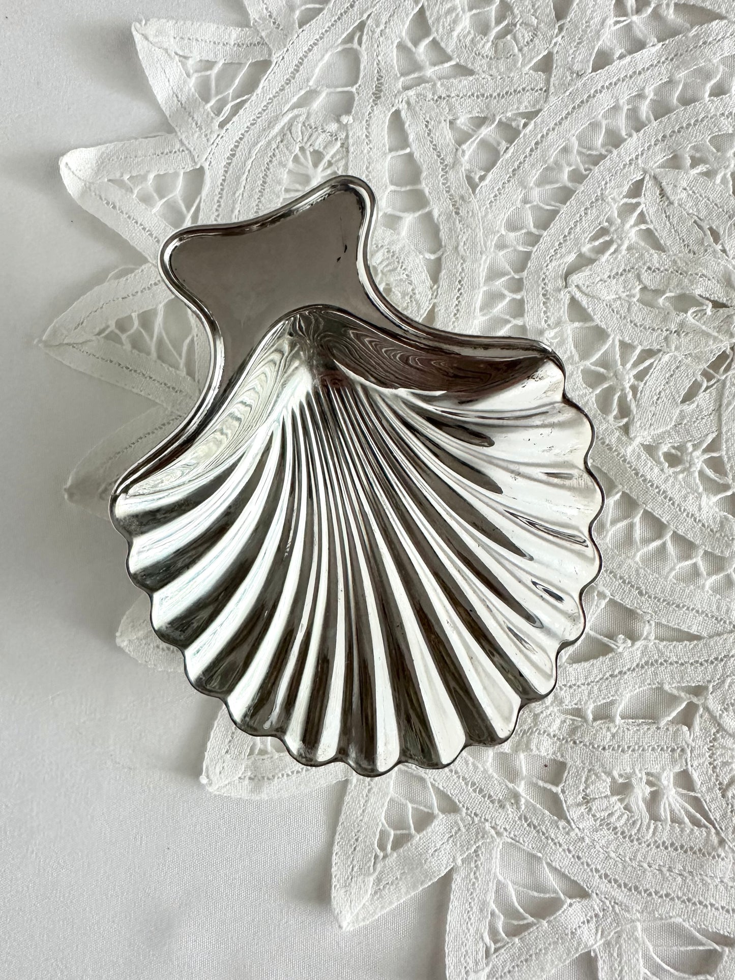 Signature Shell 07