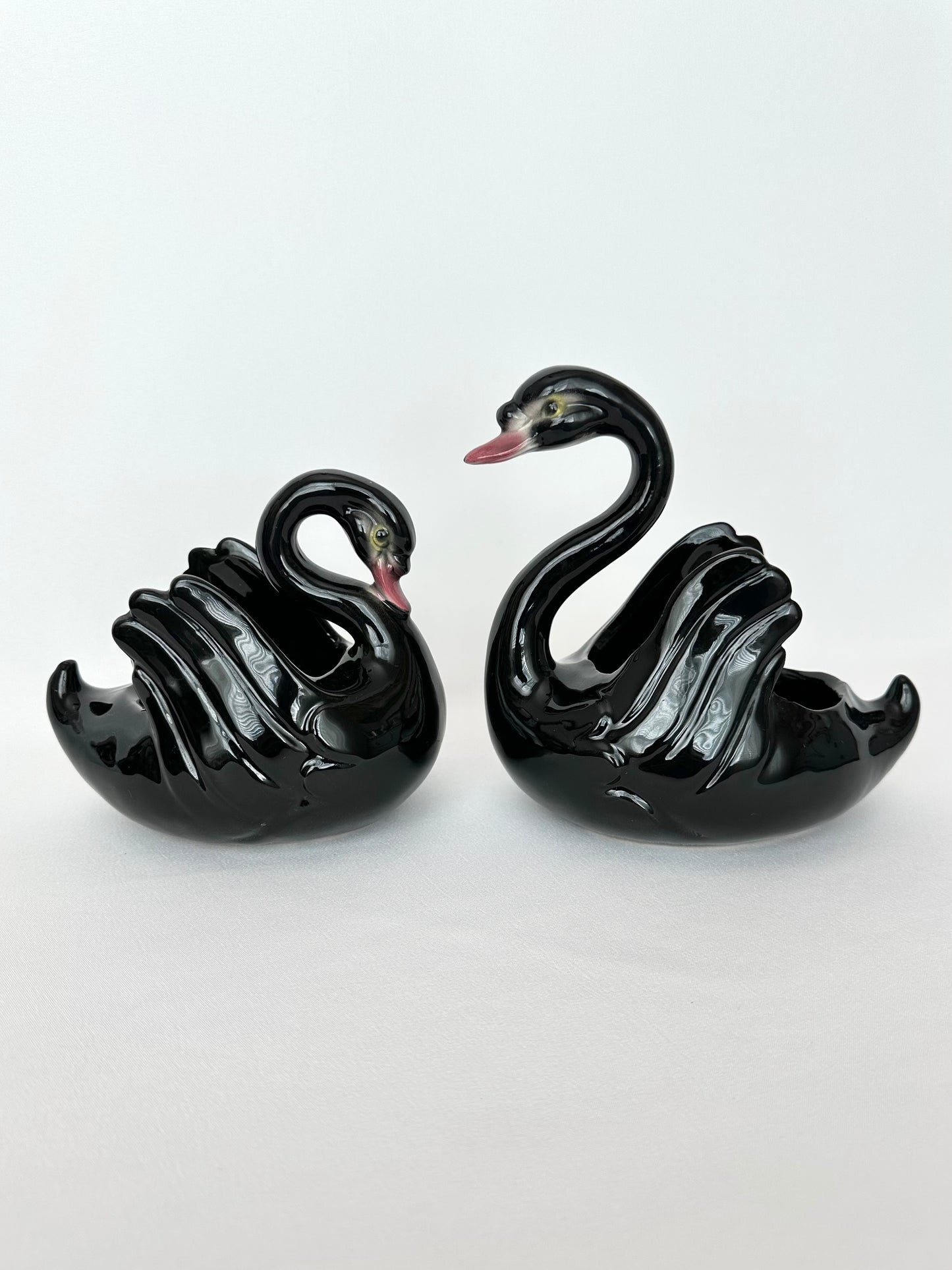 Raven Swan Pair