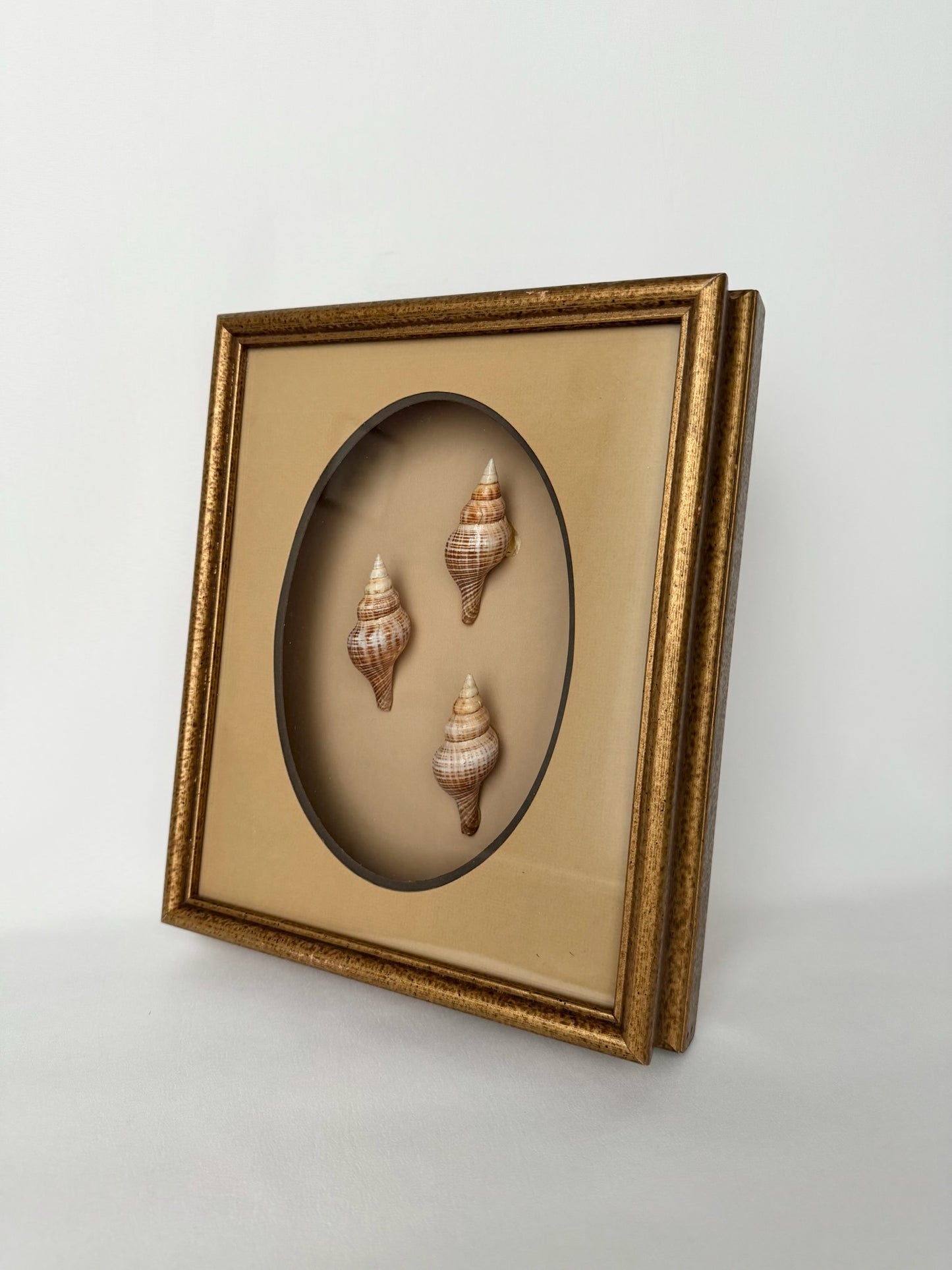 Boca Shadow Box