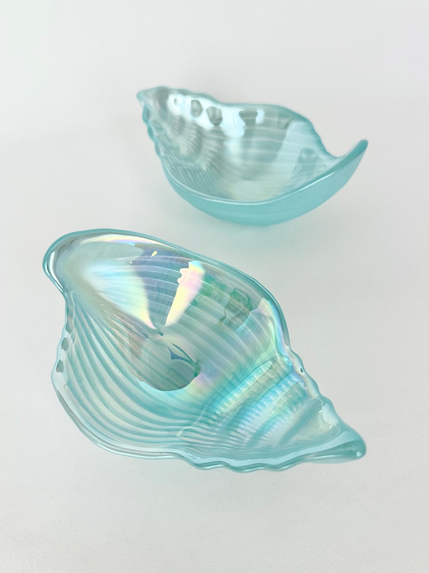 Pearl Conch Shell Dishes