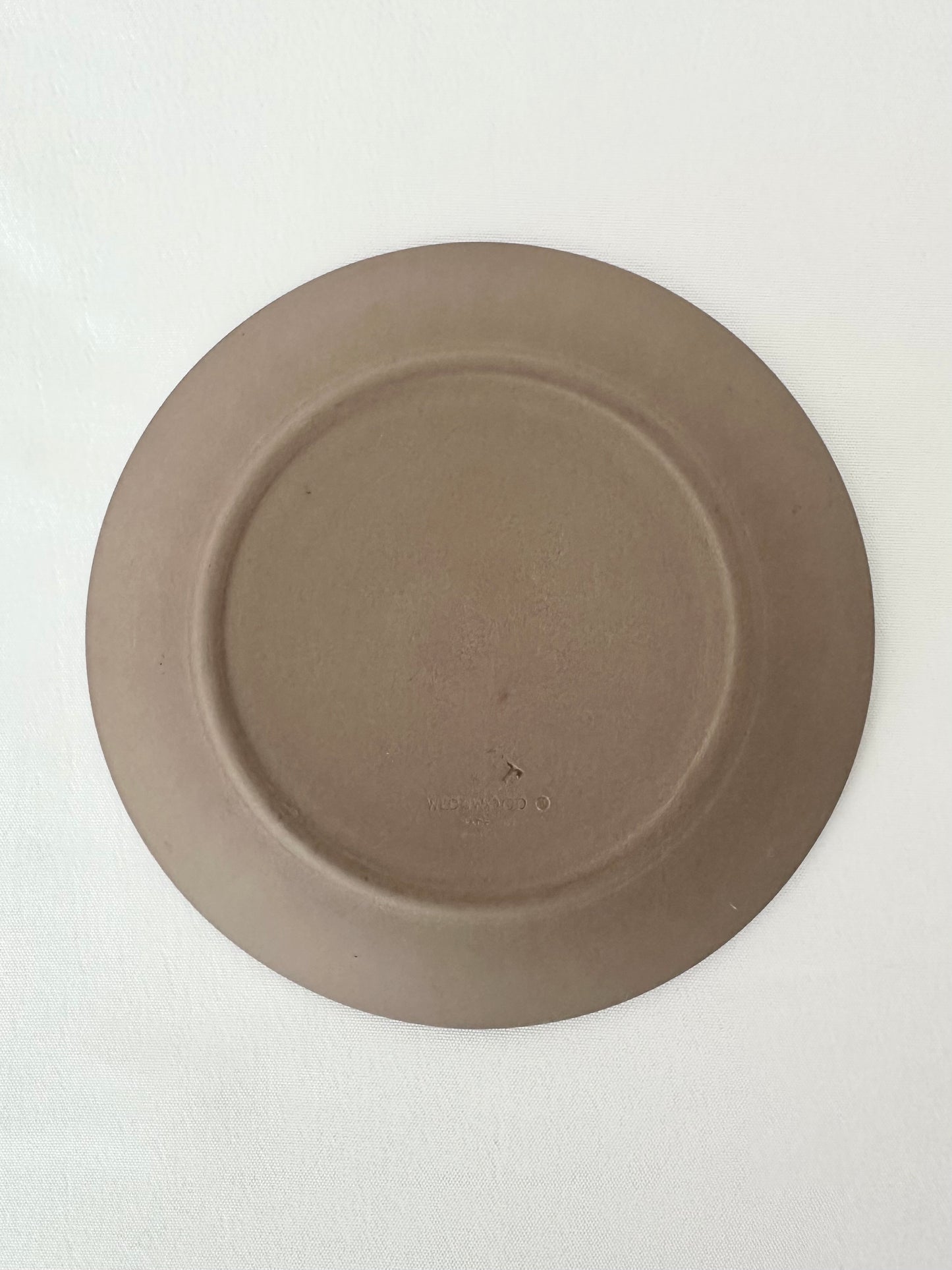 Paola Shell Trinket Dish