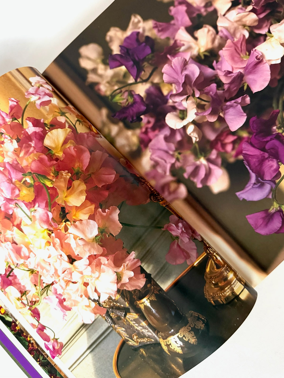 A Passion for Flowers Book