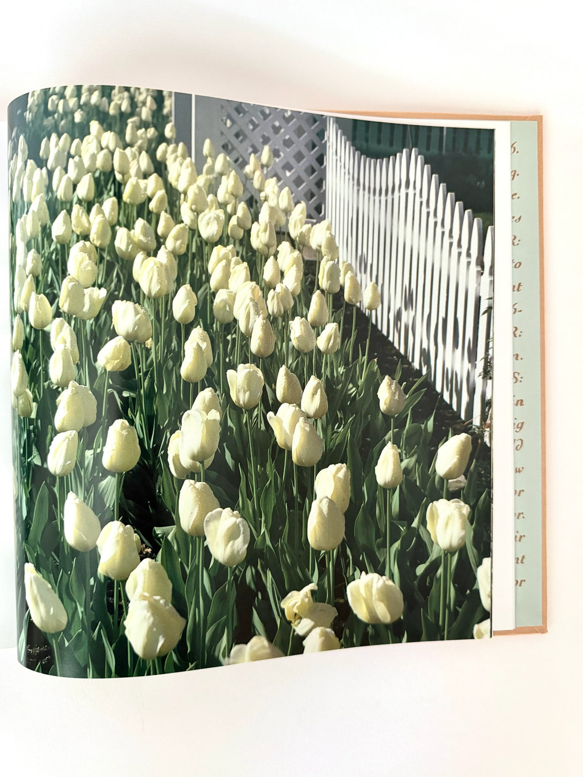 Martha Stewart’s New Old House Book