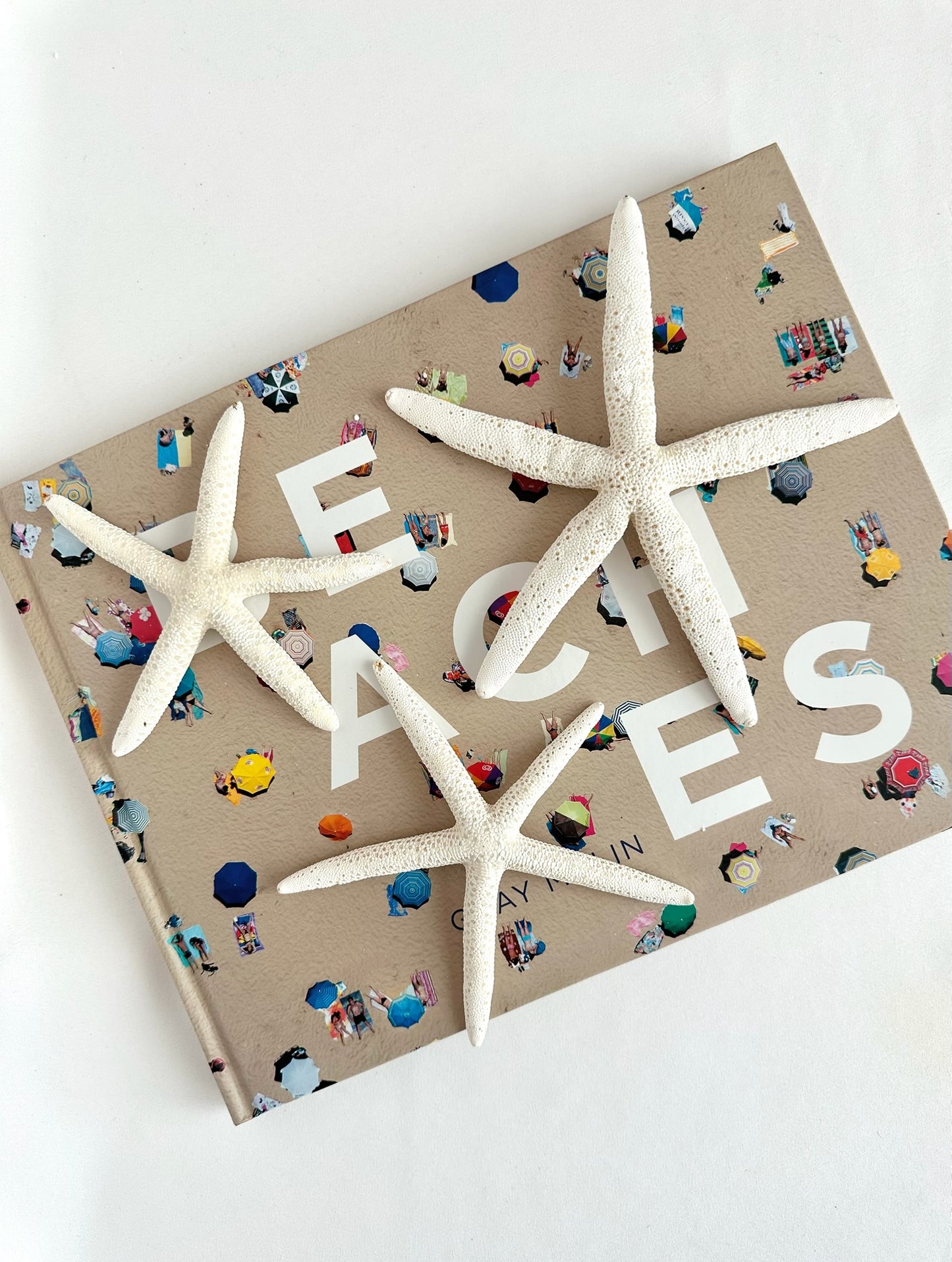 set of three natural bleached starfish decorative accents