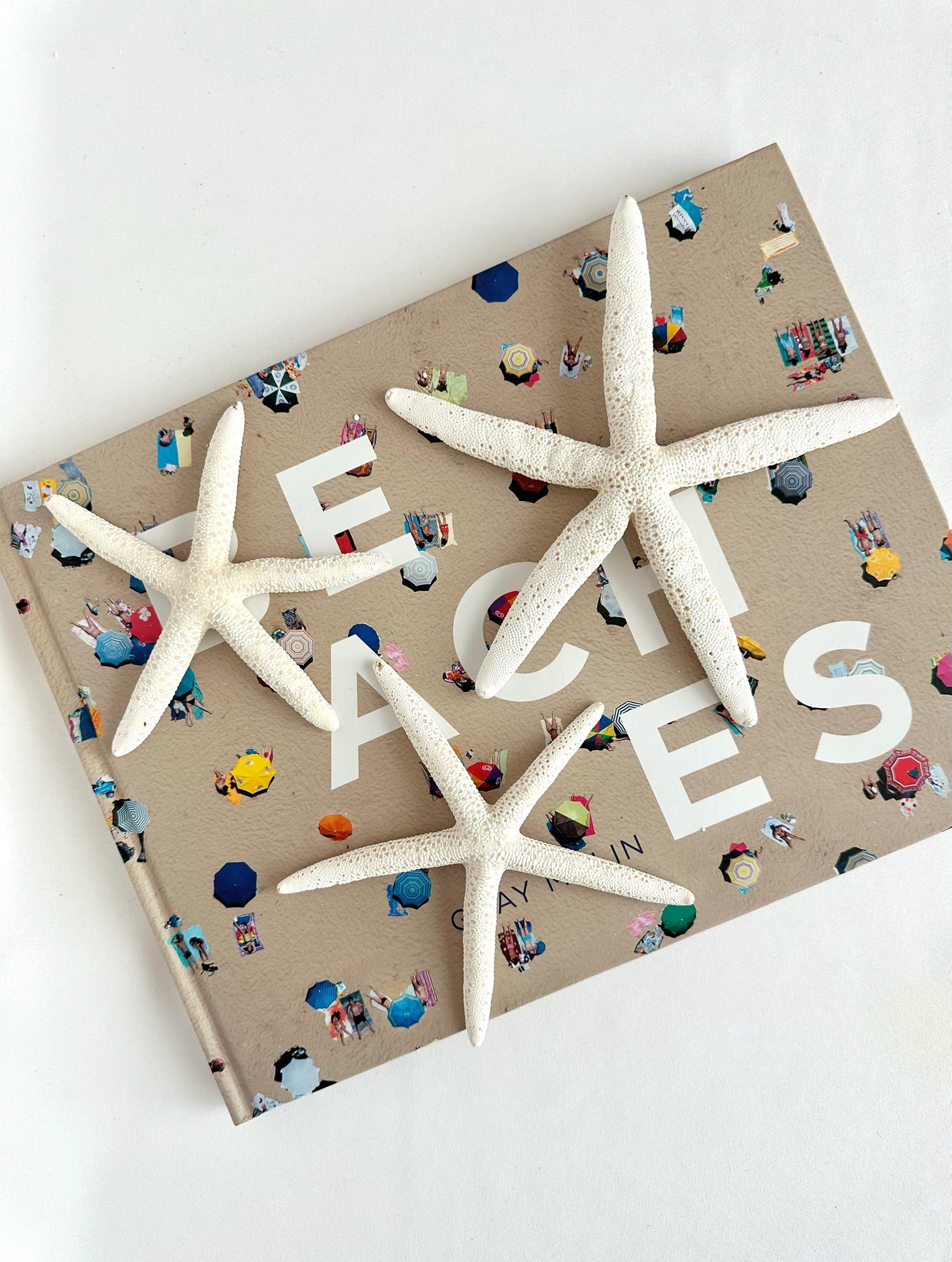 set of three natural bleached starfish decorative accents
