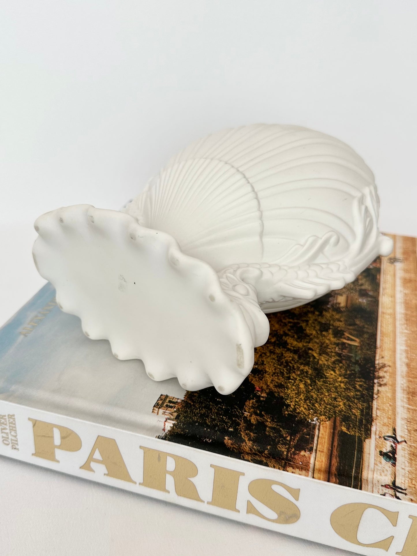 Michelina Shell Vase
