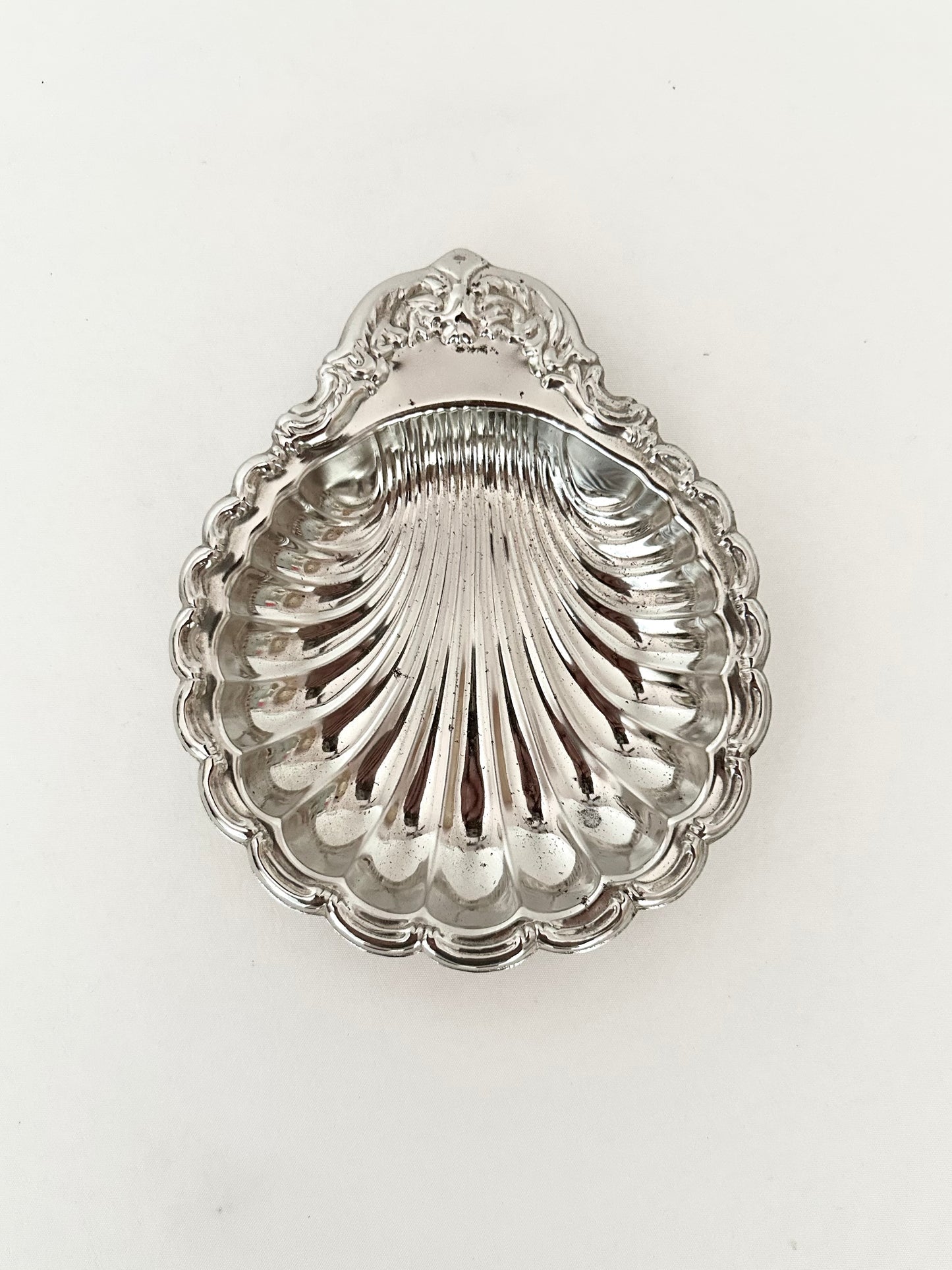 Signature Shell 04
