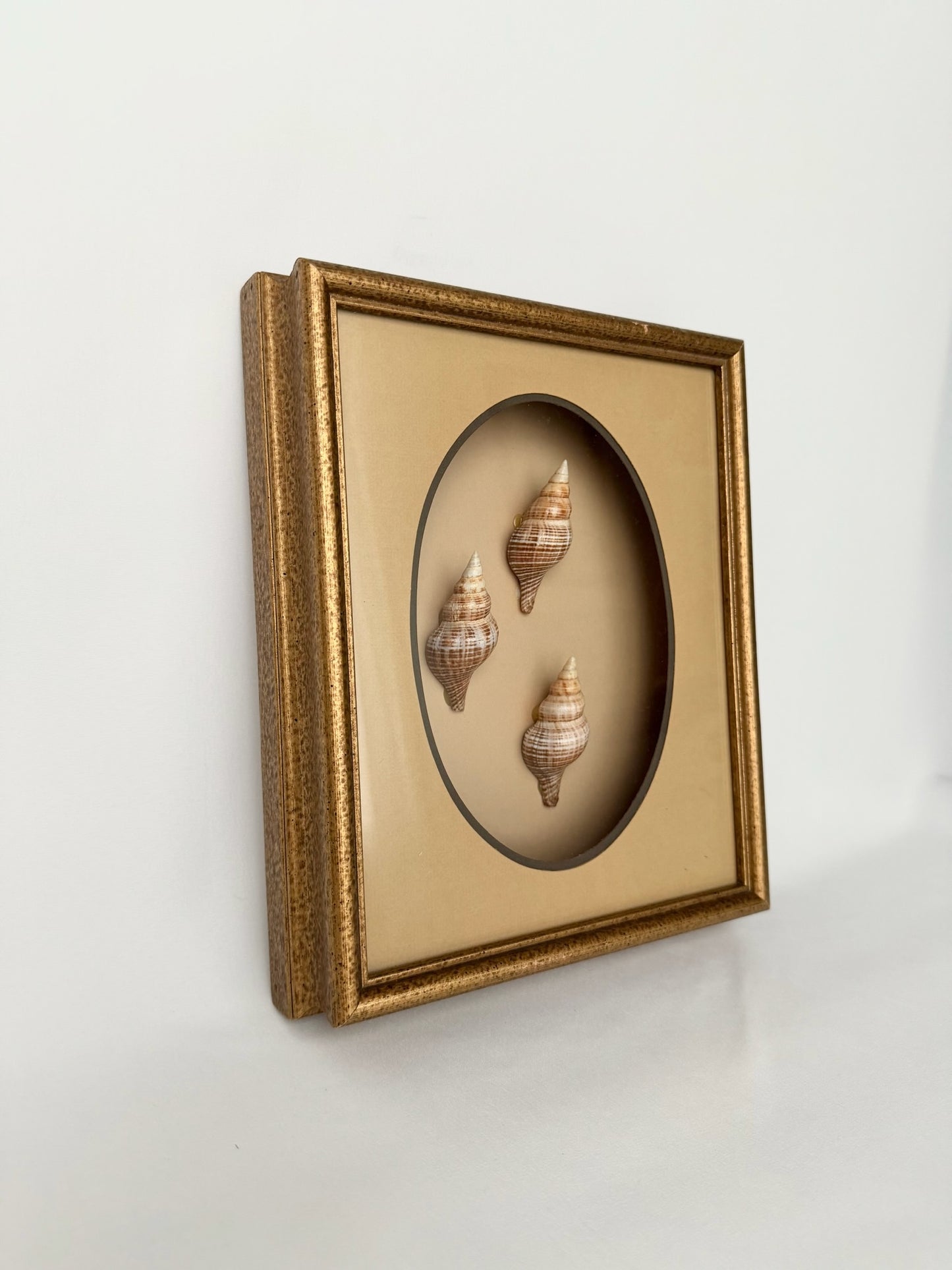 Boca Shadow Box