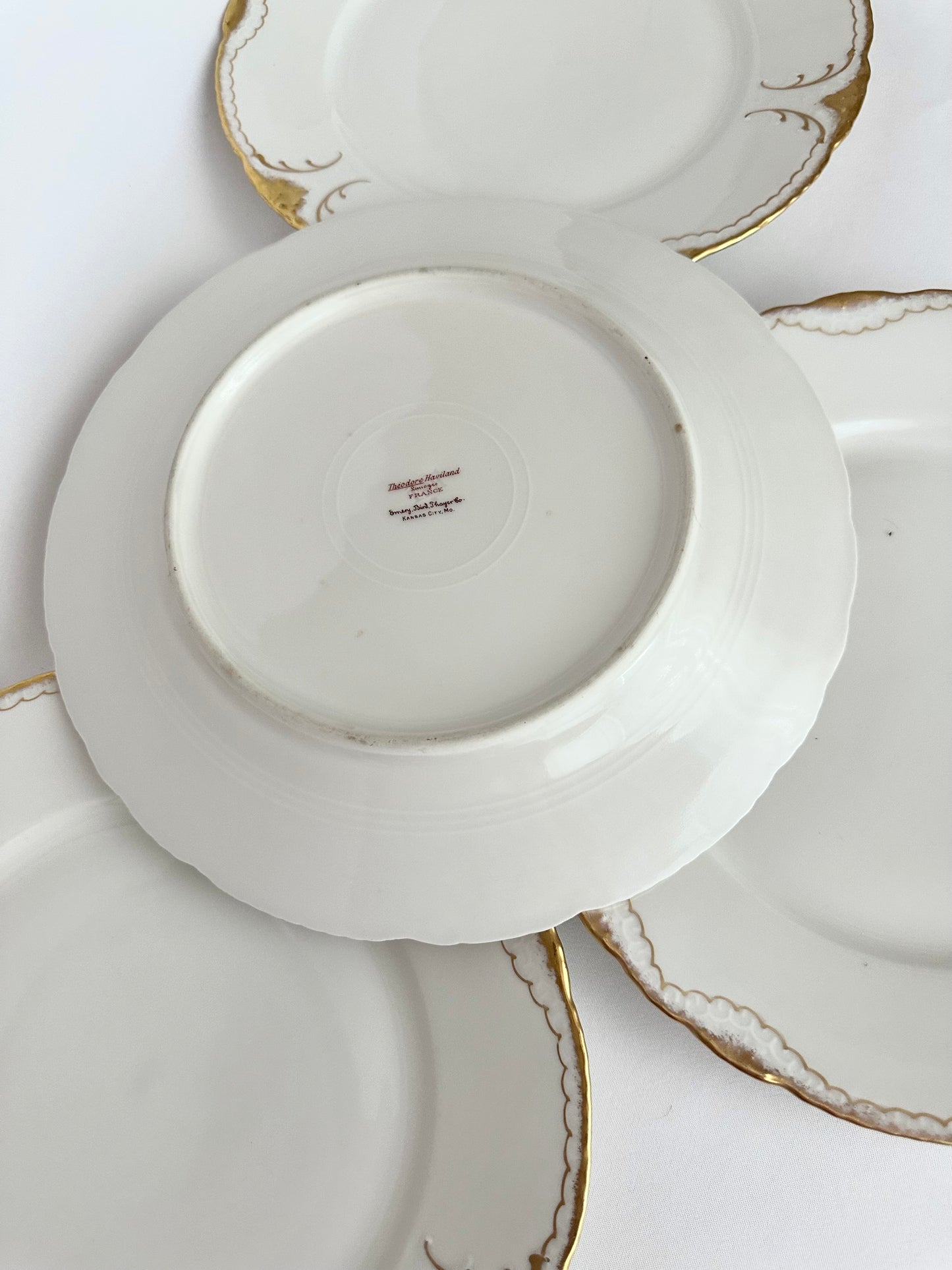 Constance Dinner Plates