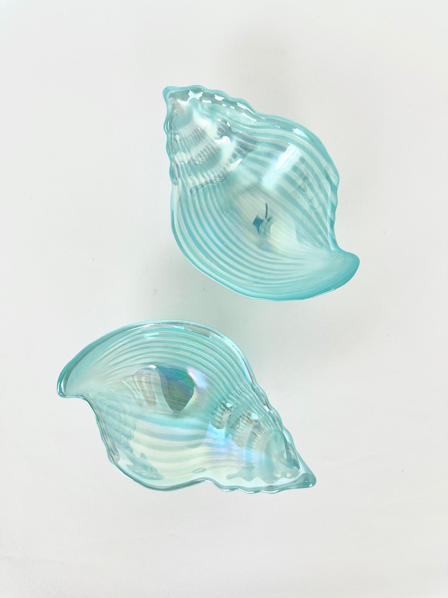 Pearl Conch Shell Dishes